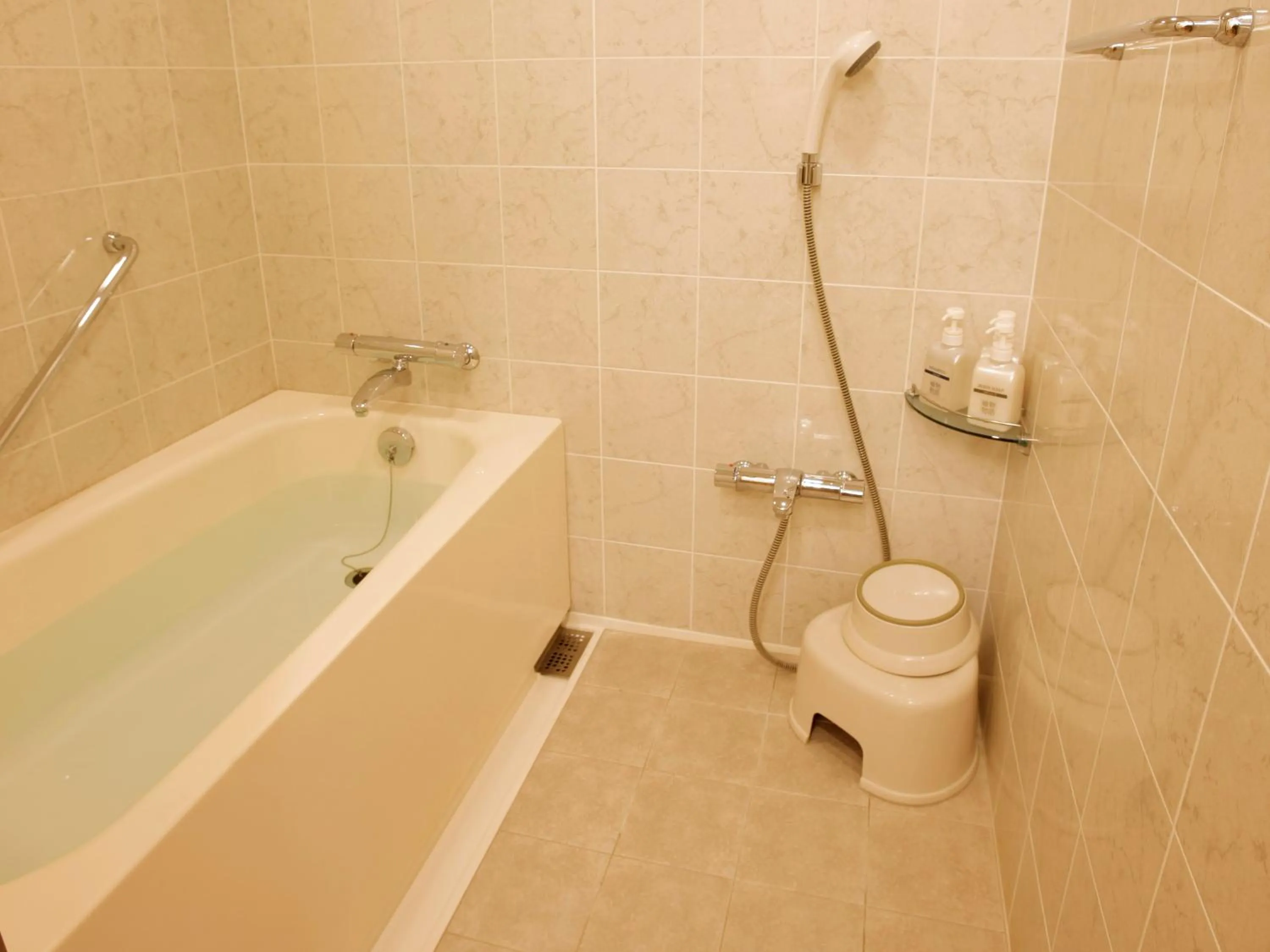 Photo of the whole room in Hotel Emion Tokyo Bay