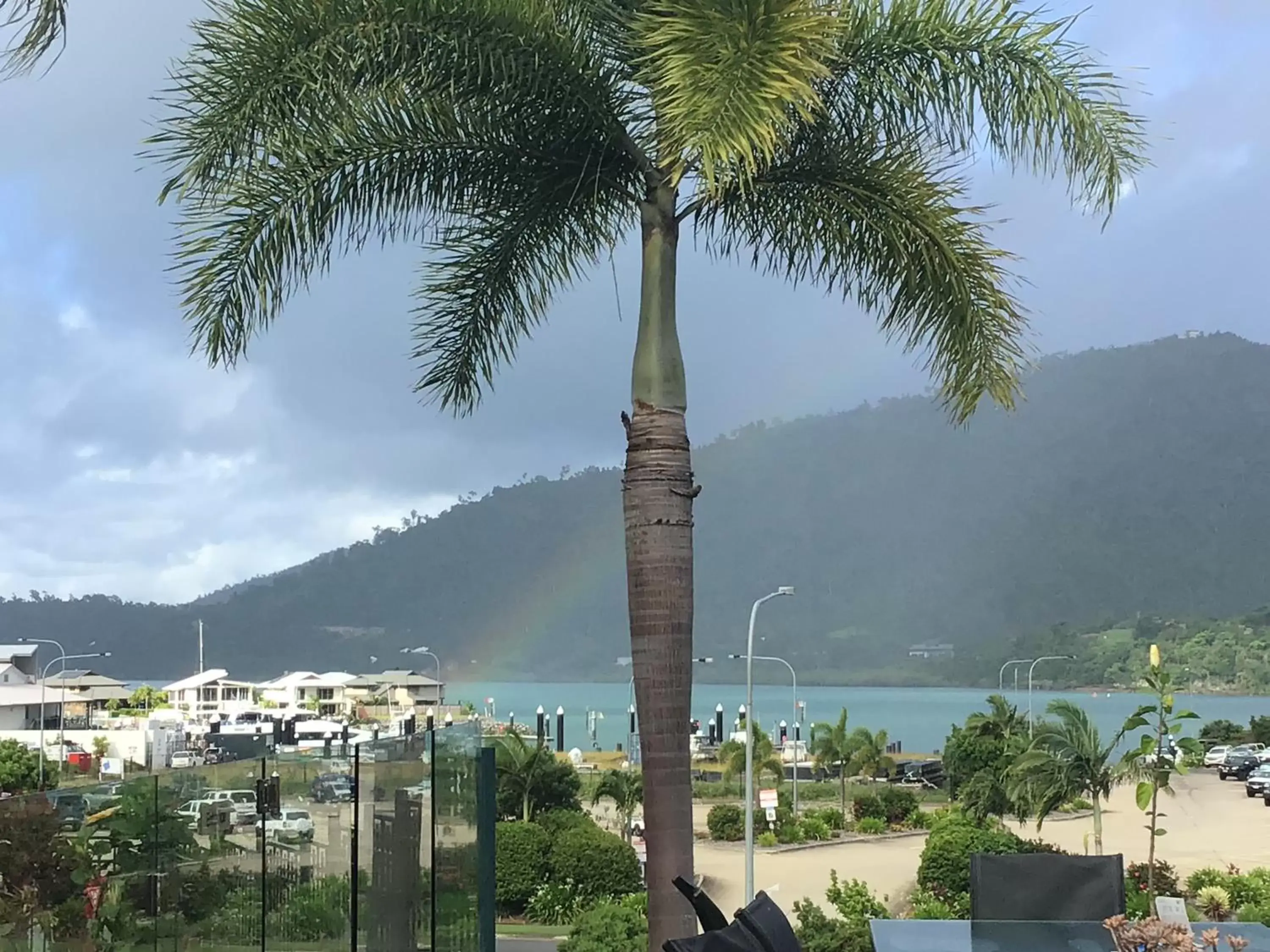 View (from property/room) in Colonial Palms Motor Inn