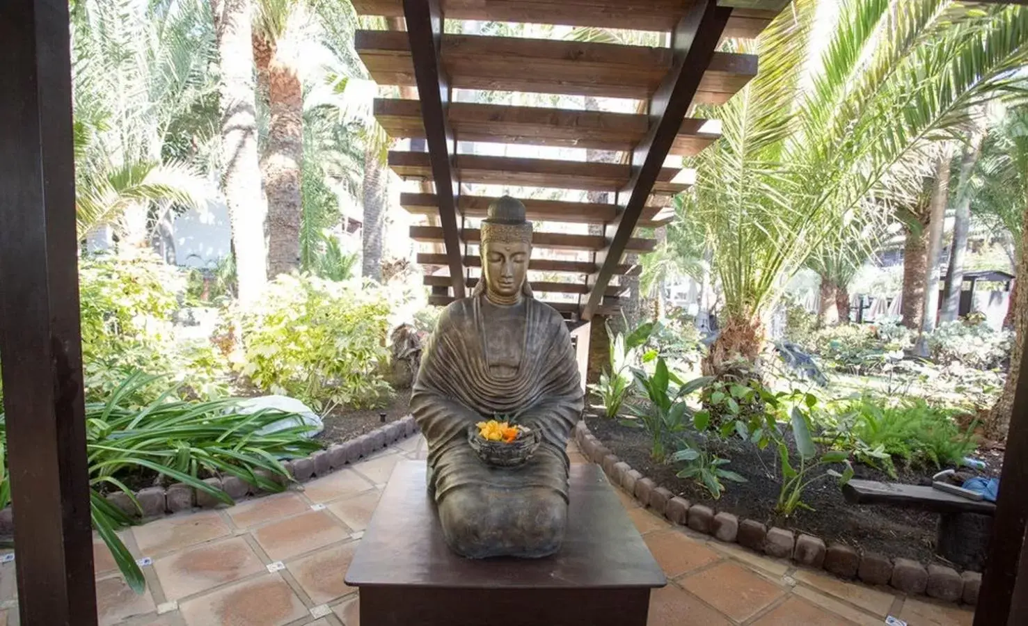 Garden in Hotel Parque Tropical