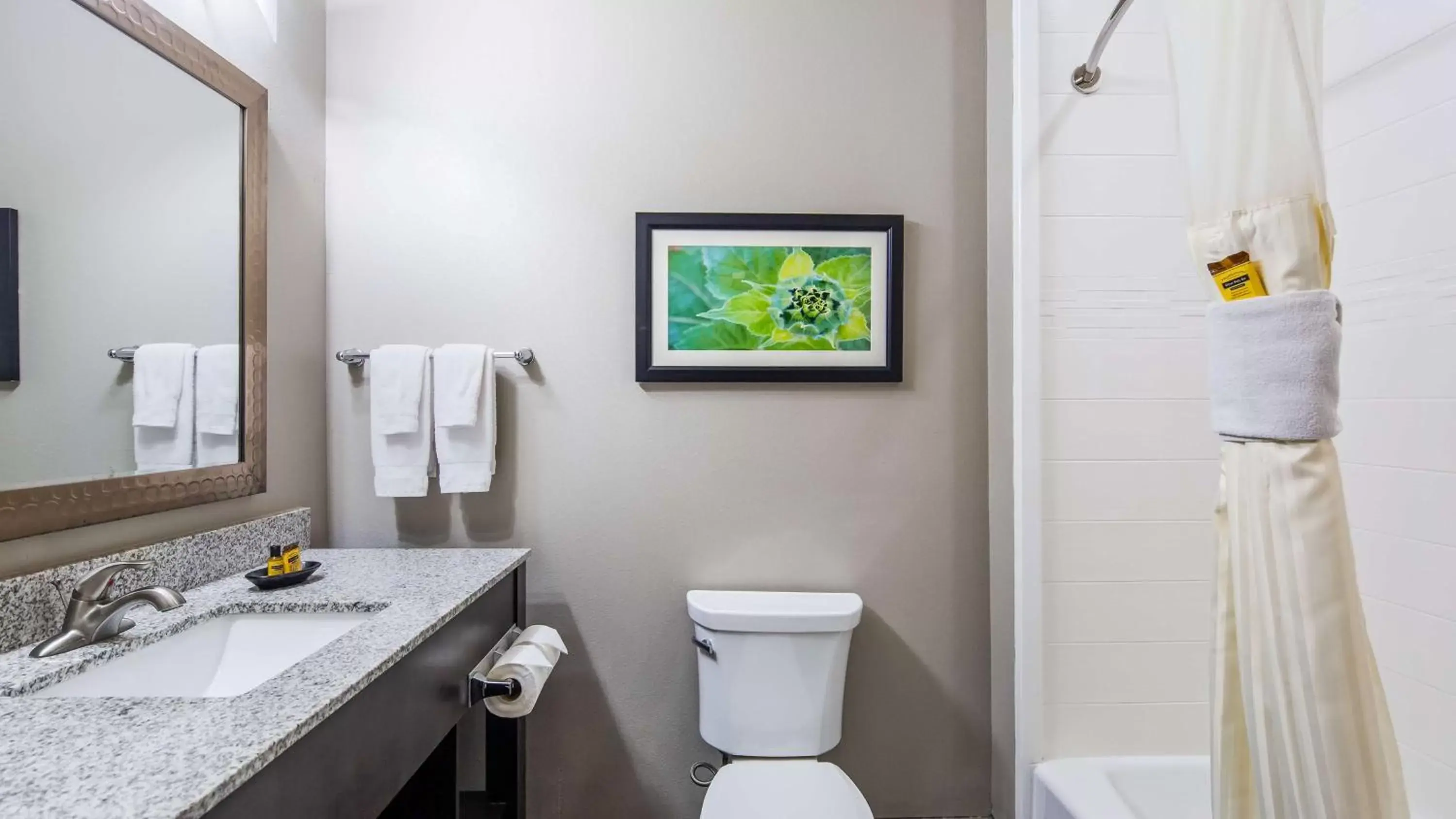 Bathroom in Best Western Plus Tech Medical Center Inn
