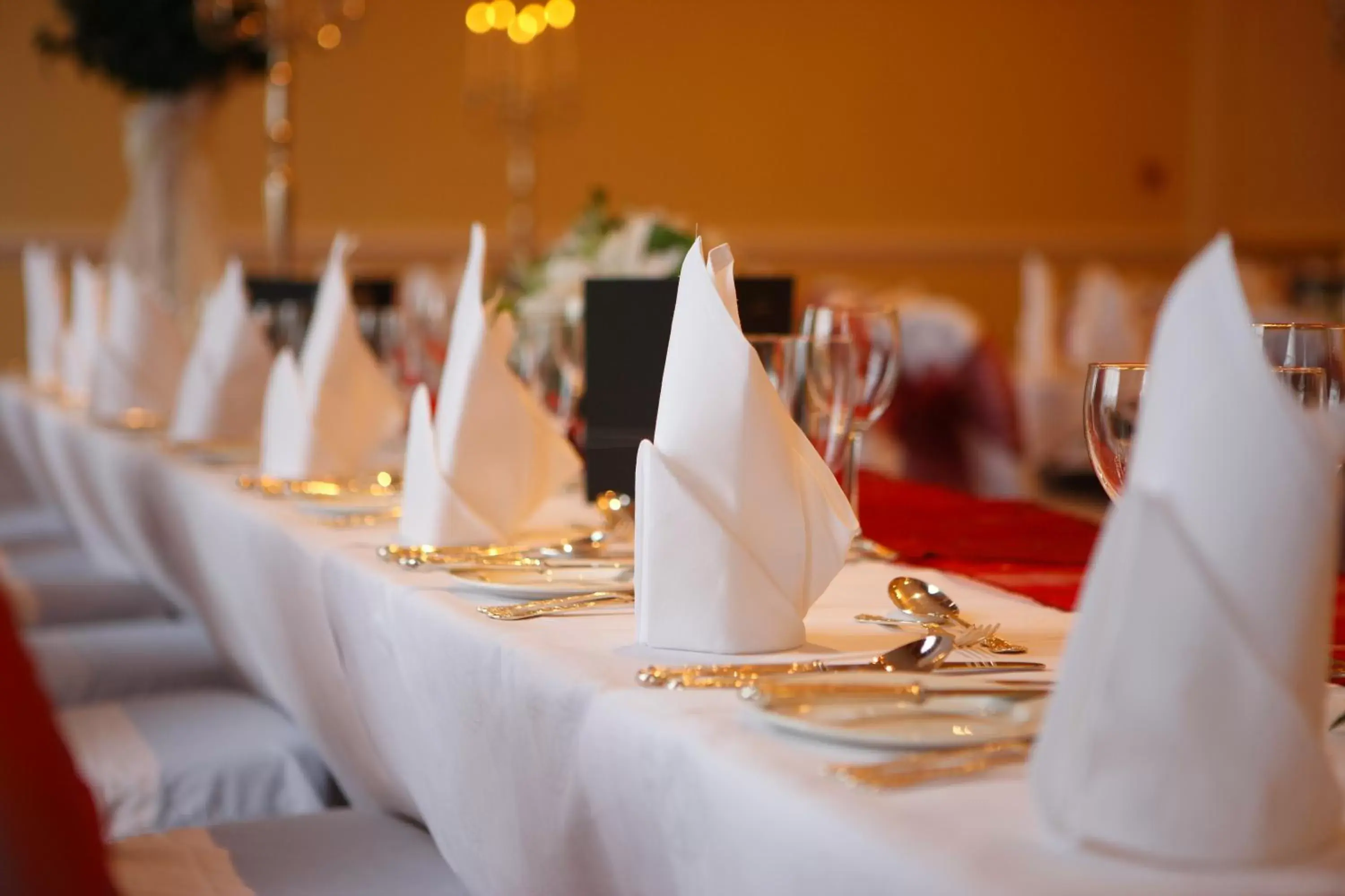 Banquet/Function facilities, Restaurant/Places to Eat in The Metropole Hotel Cork