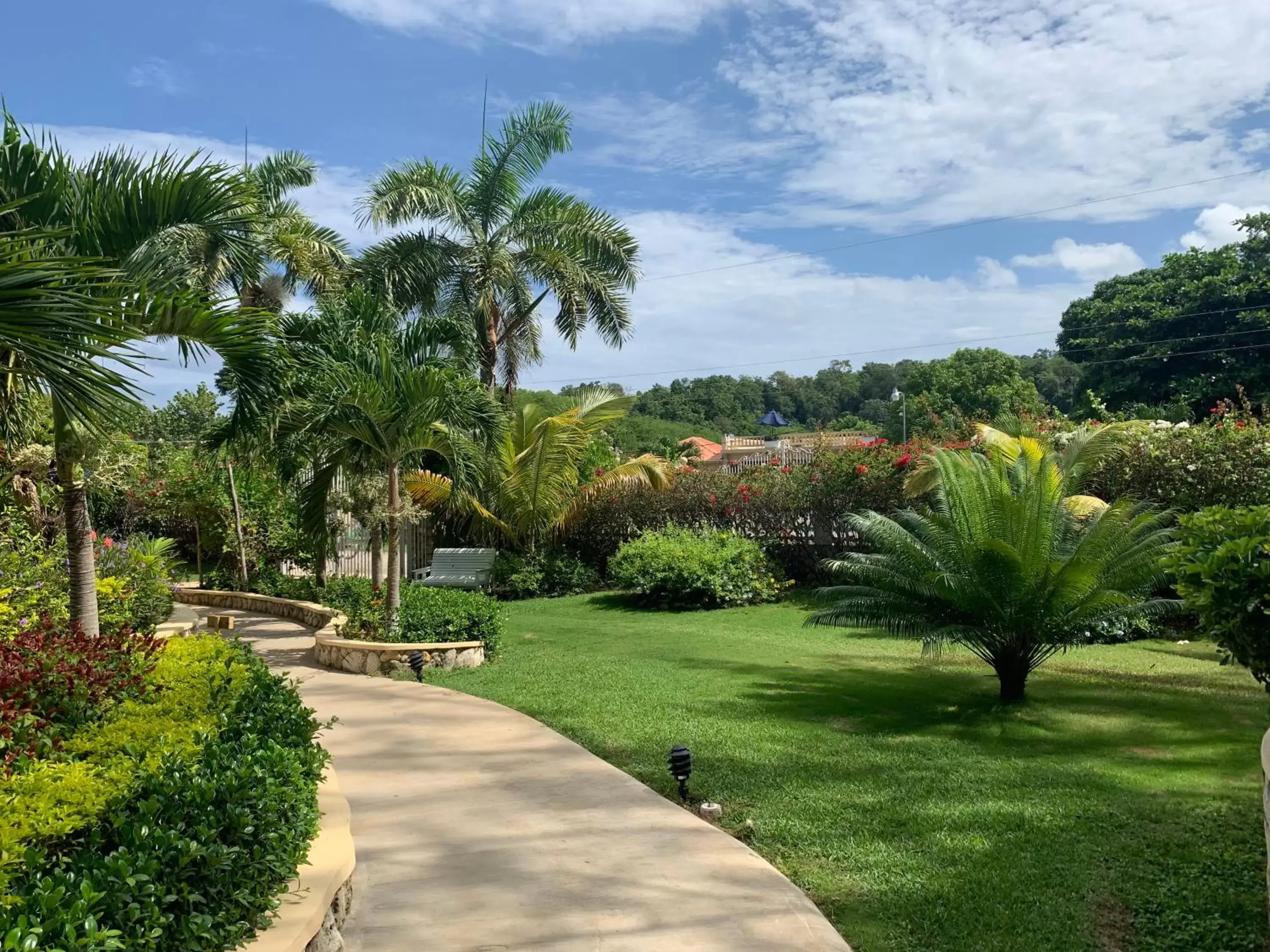 Garden in The Westender Inn