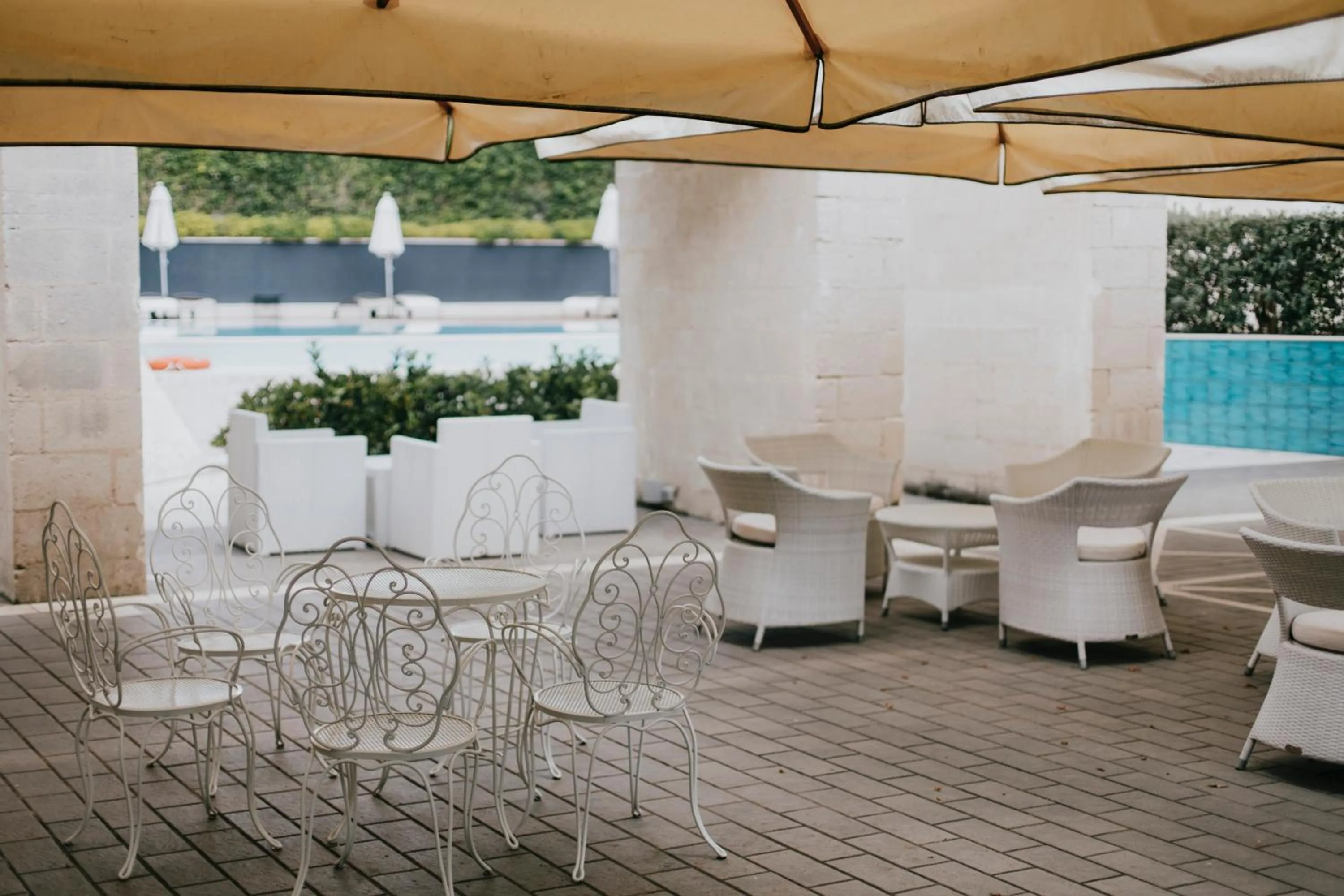 Garden in Hotel Del Campo