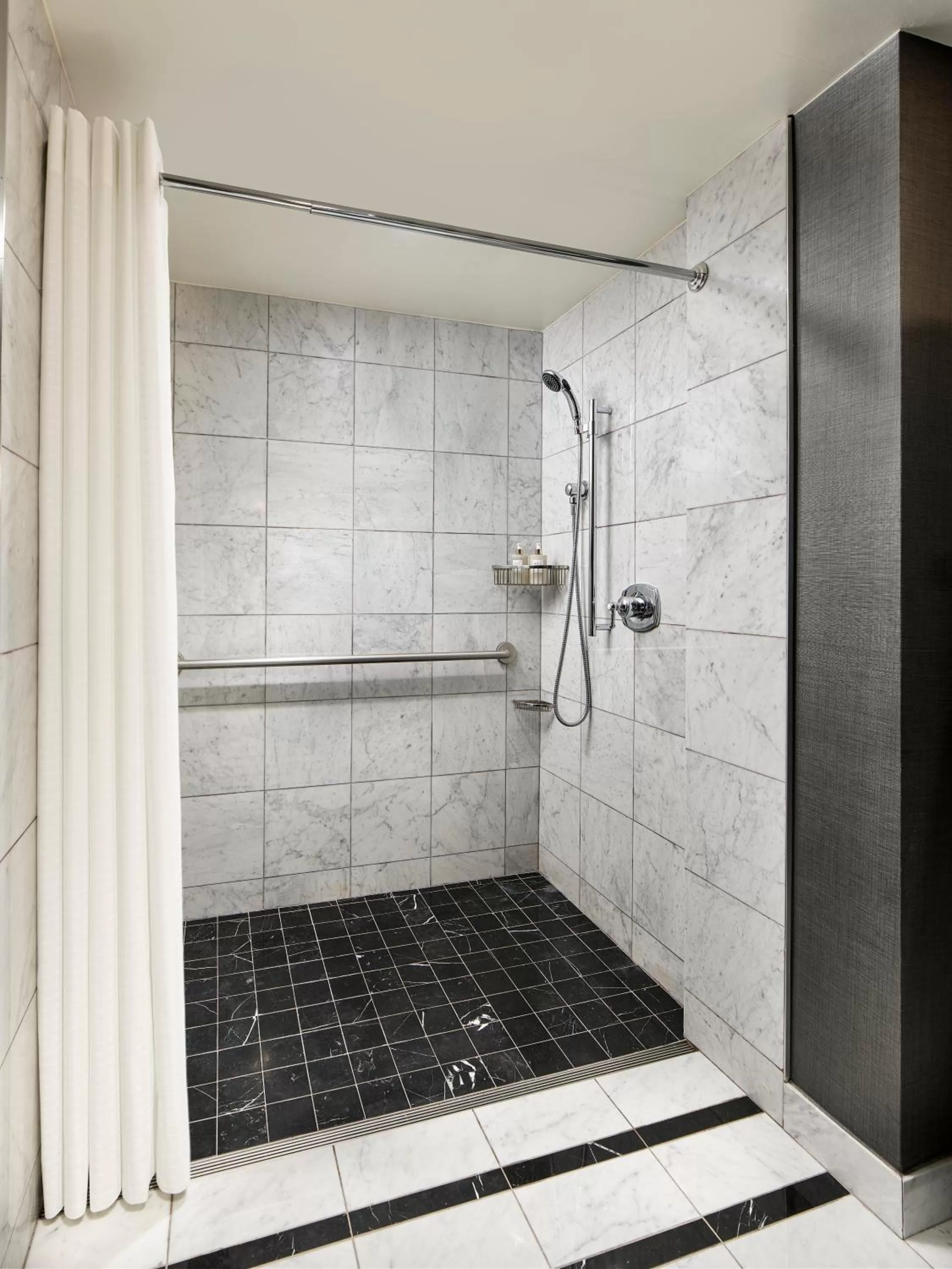 acessibility in Viceroy Washington DC