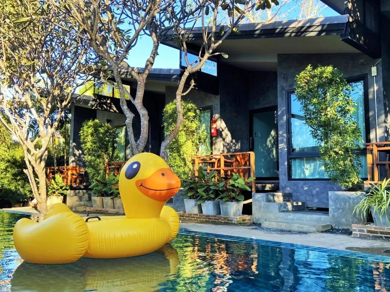 Pool view, Swimming Pool in Family House Zen Boutique Resort