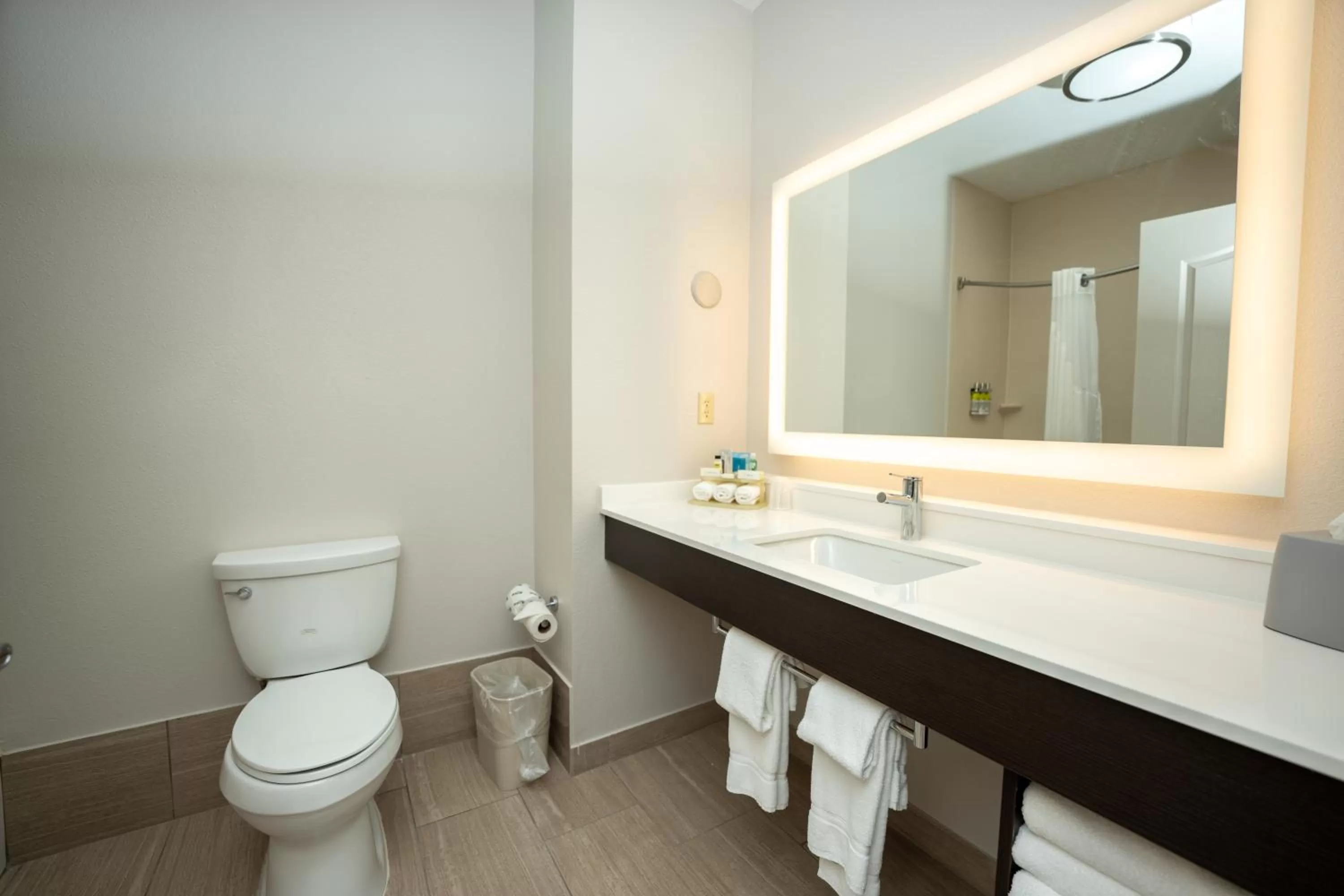 Bathroom in Holiday Inn Express & Suites Deer Park by IHG