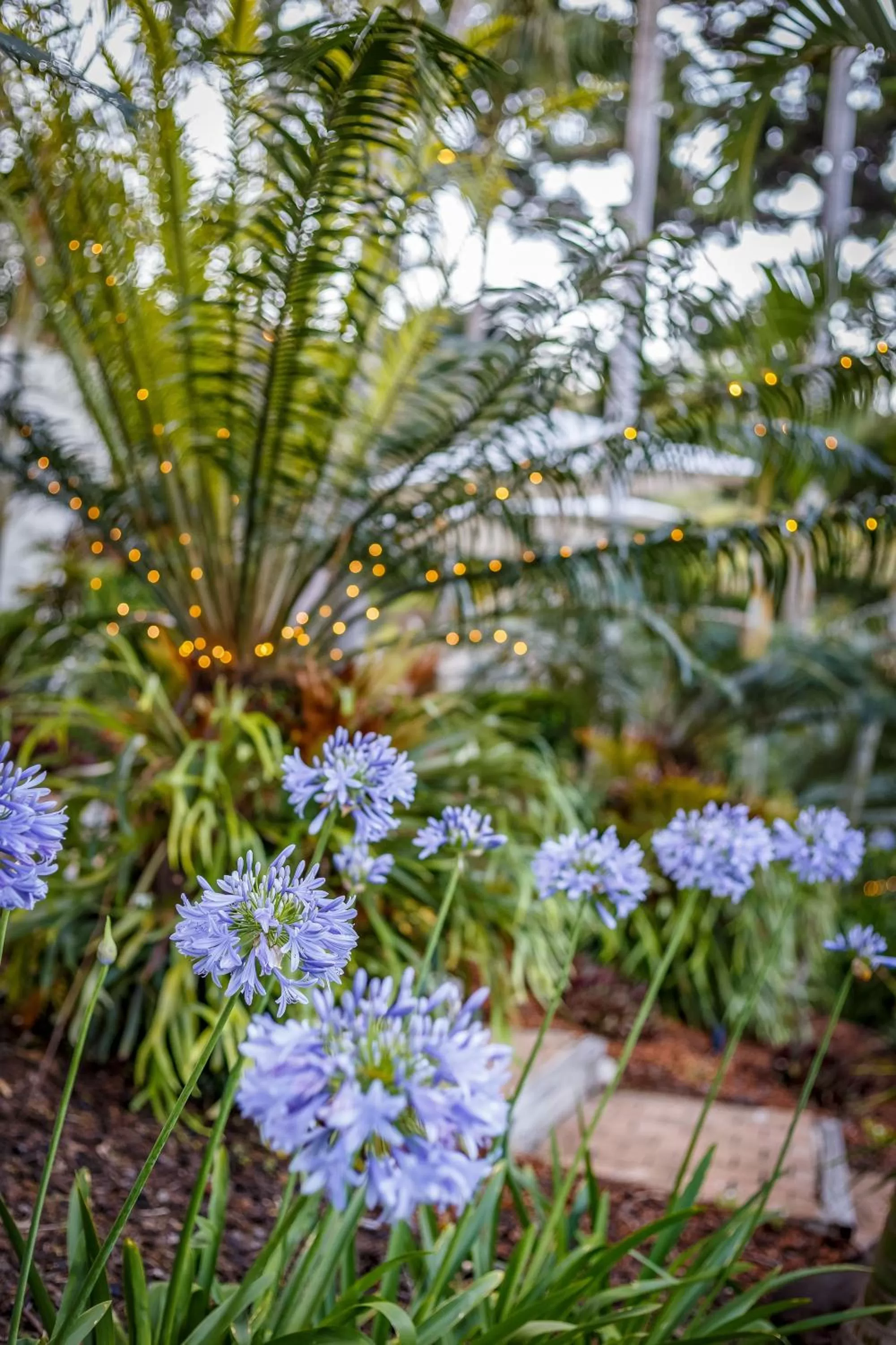 Garden in Sensom at Sapphire - Adults only B&B
