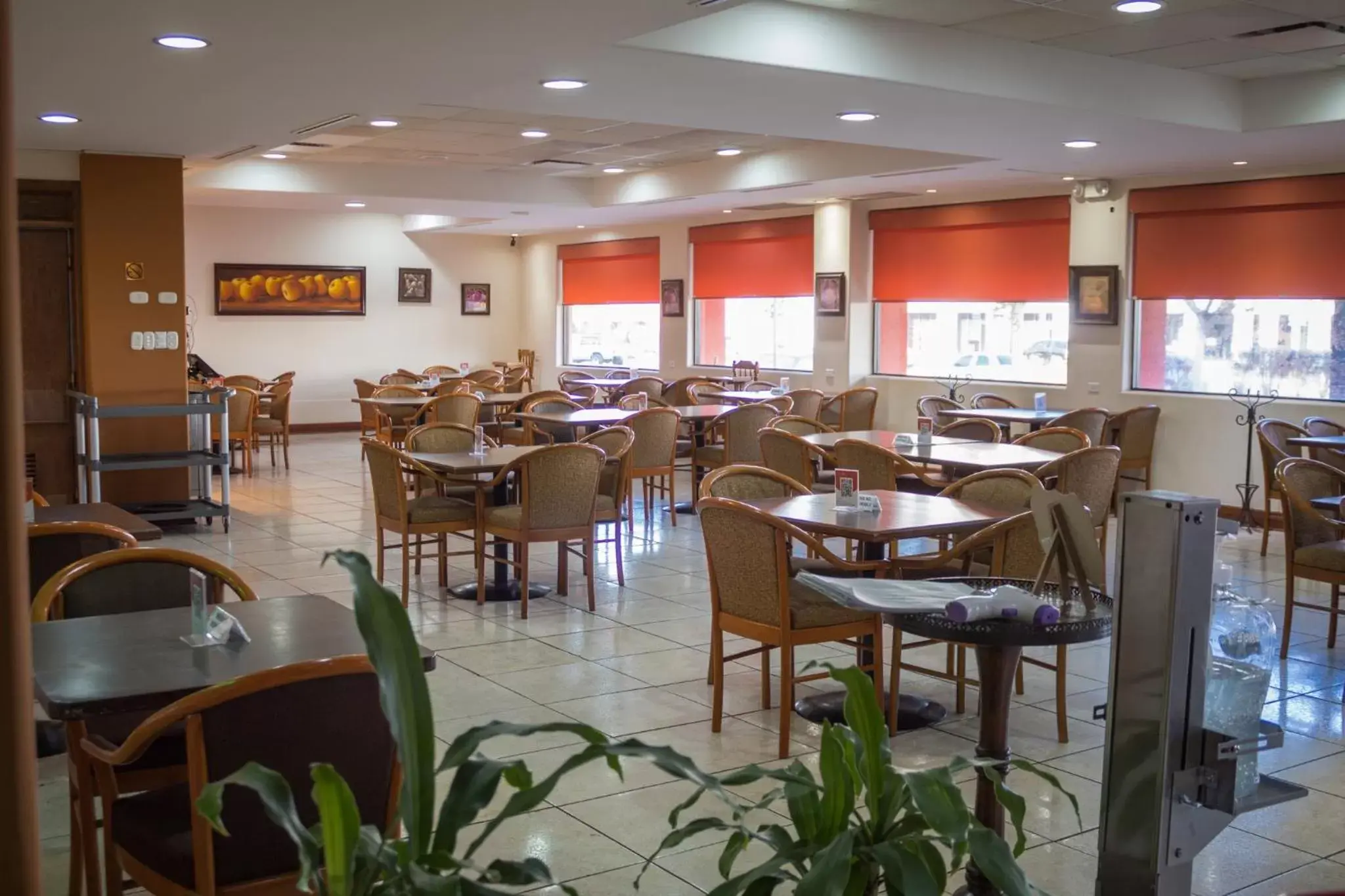 Restaurant/Places to Eat in Hotel Sicomoro
