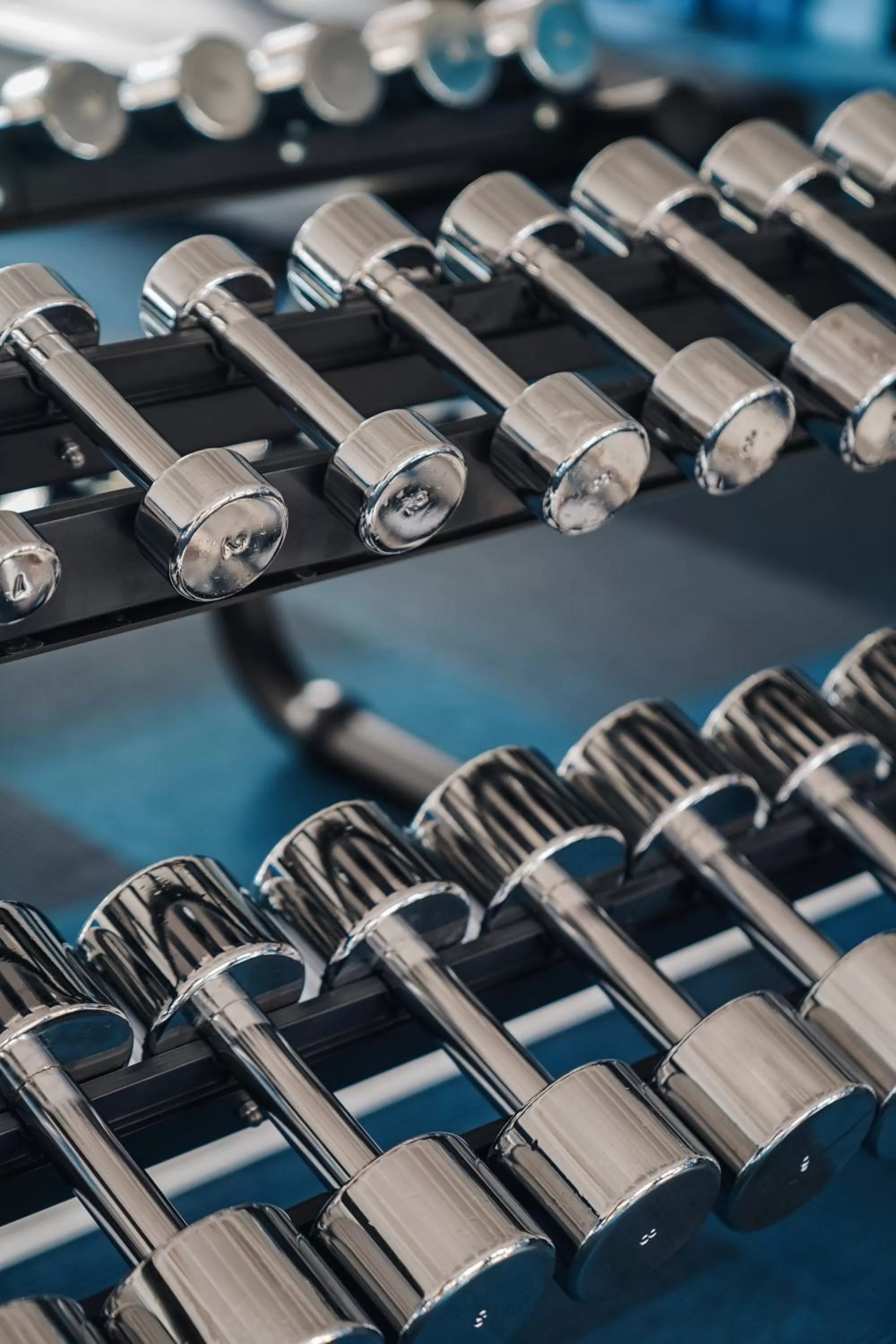 Activities in Son Brull Hotel & Spa - Relais & Chateaux