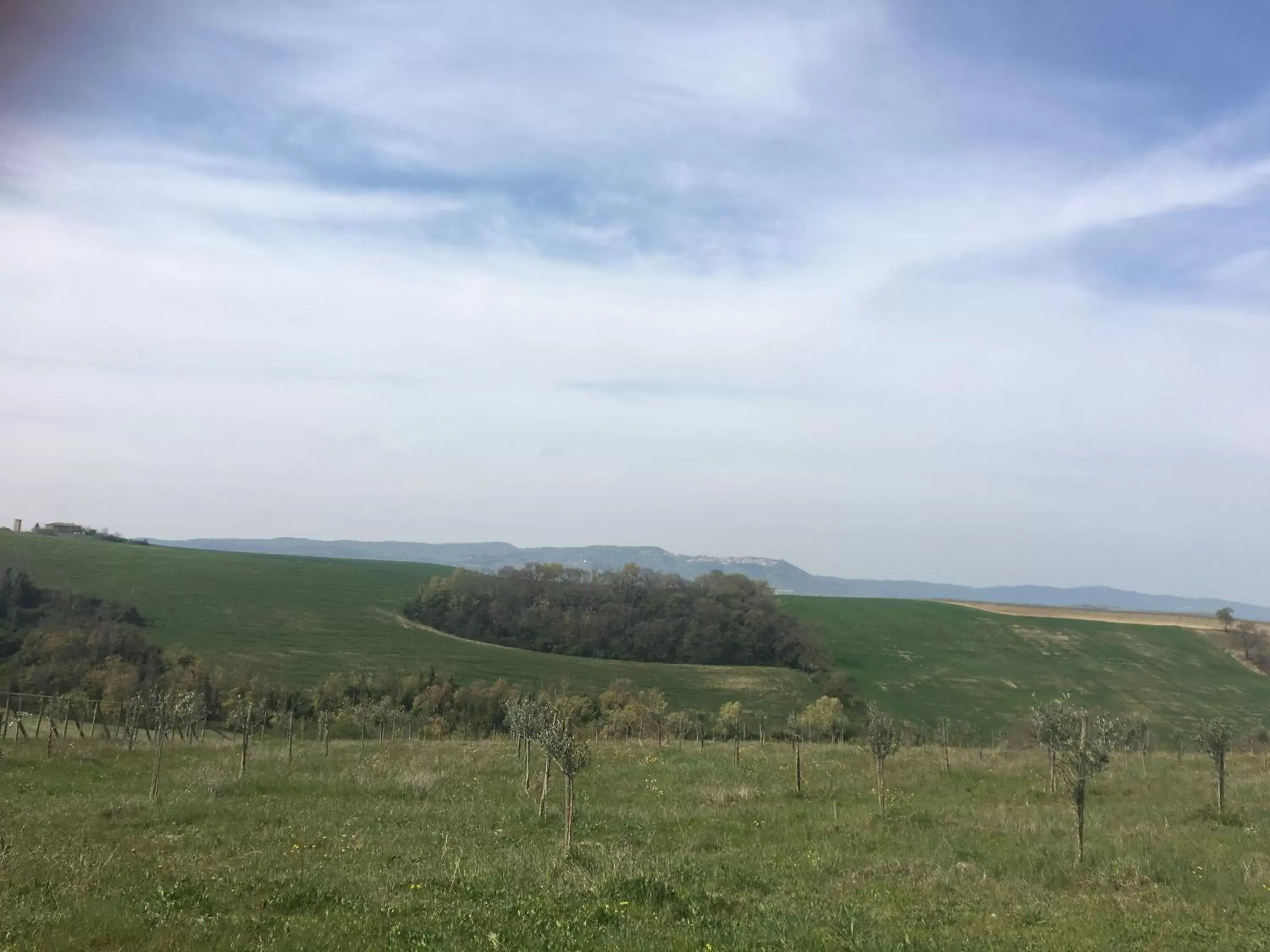 Natural Landscape in Cordella In Valdorcia Truffle and Olive Oil Resort