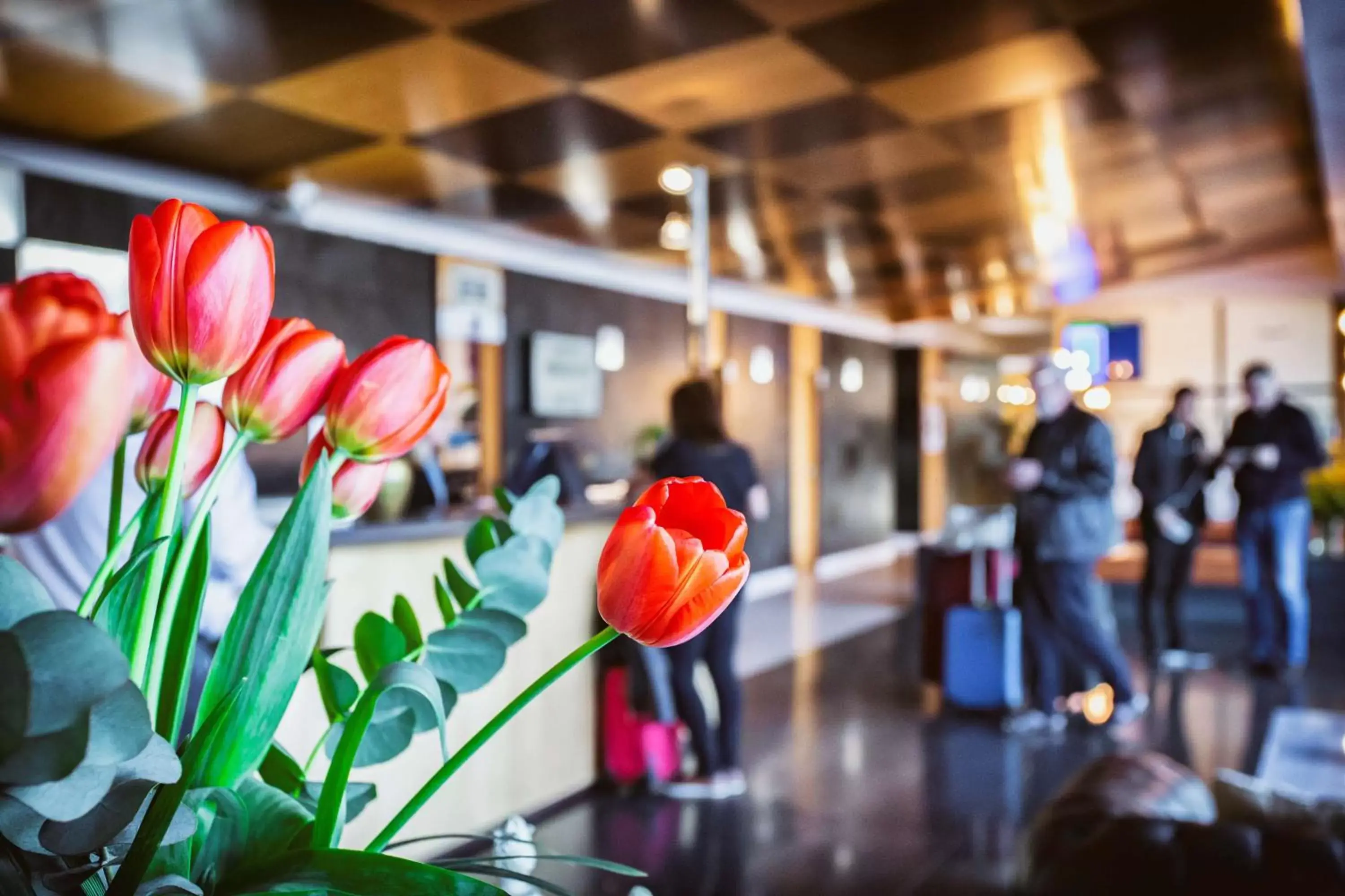Lobby or reception in Best Western Plus Hotel Alfa Aeropuerto
