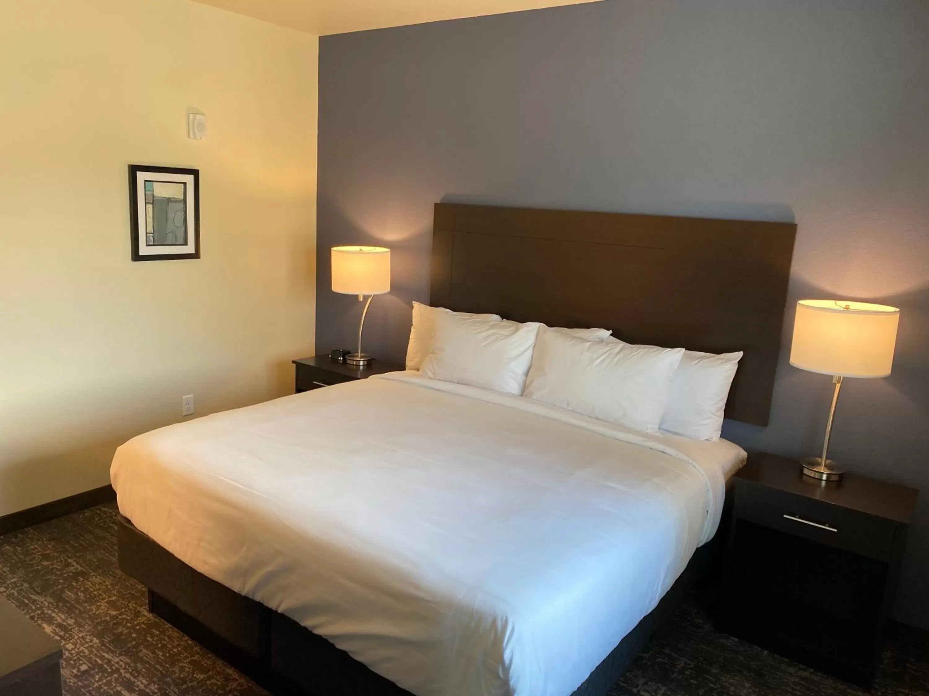 Bed in Cobblestone Inn & Suites - Forest City