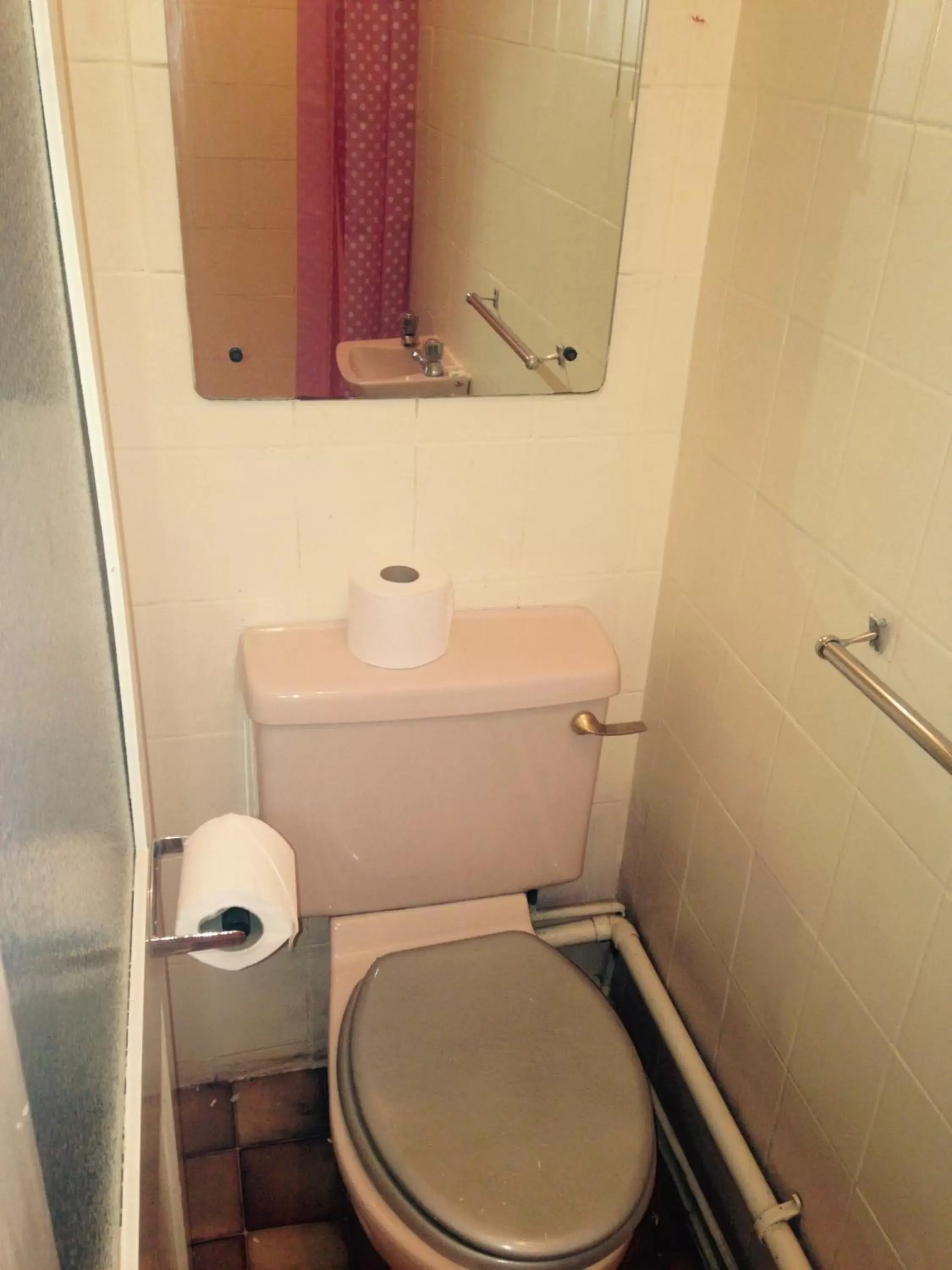 Toilet, Bathroom in Peek-a-Booze - Budget Hotel - Adults Only