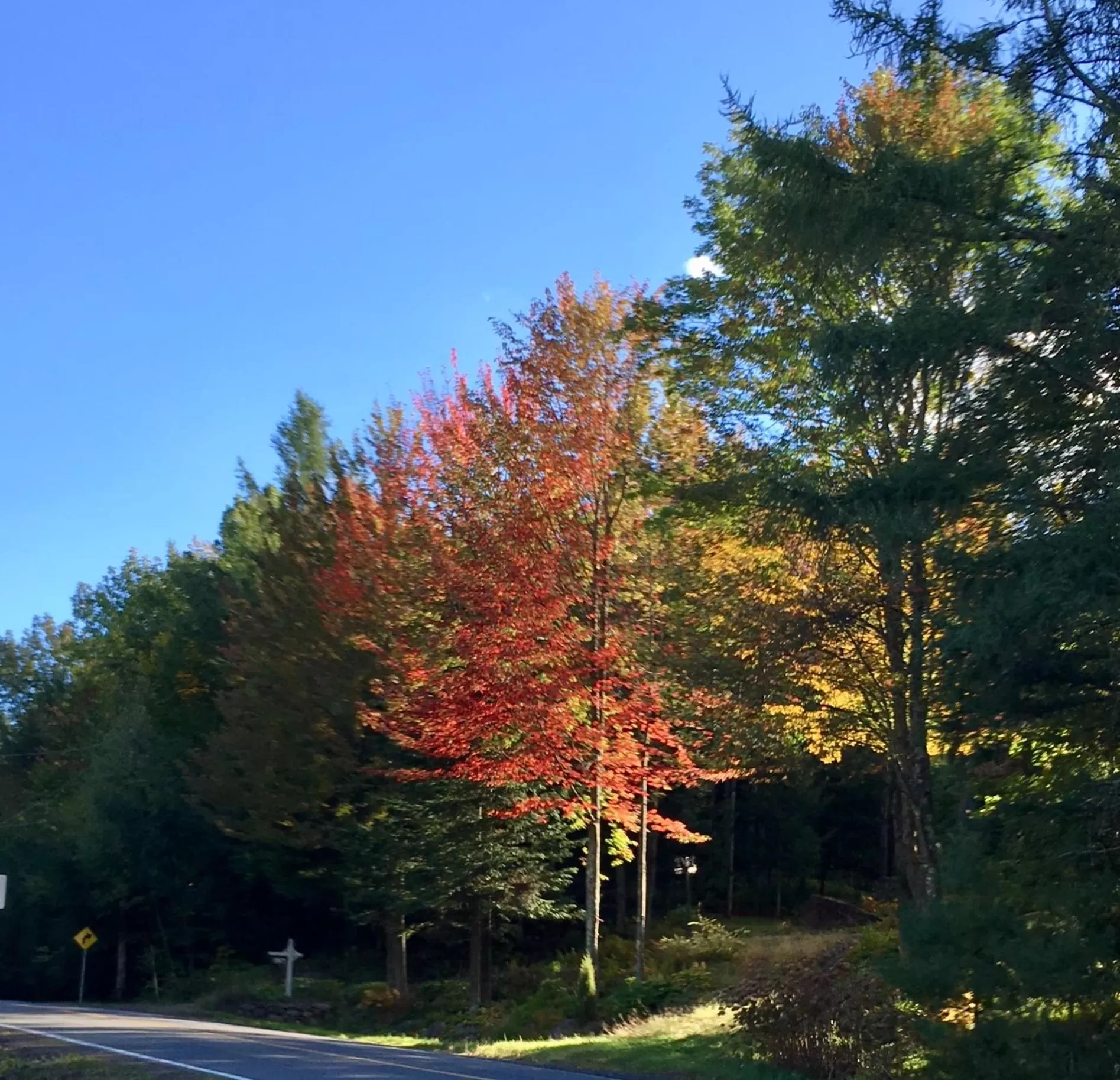 Natural landscape in Au Gré Du Temps - Gîte B&B