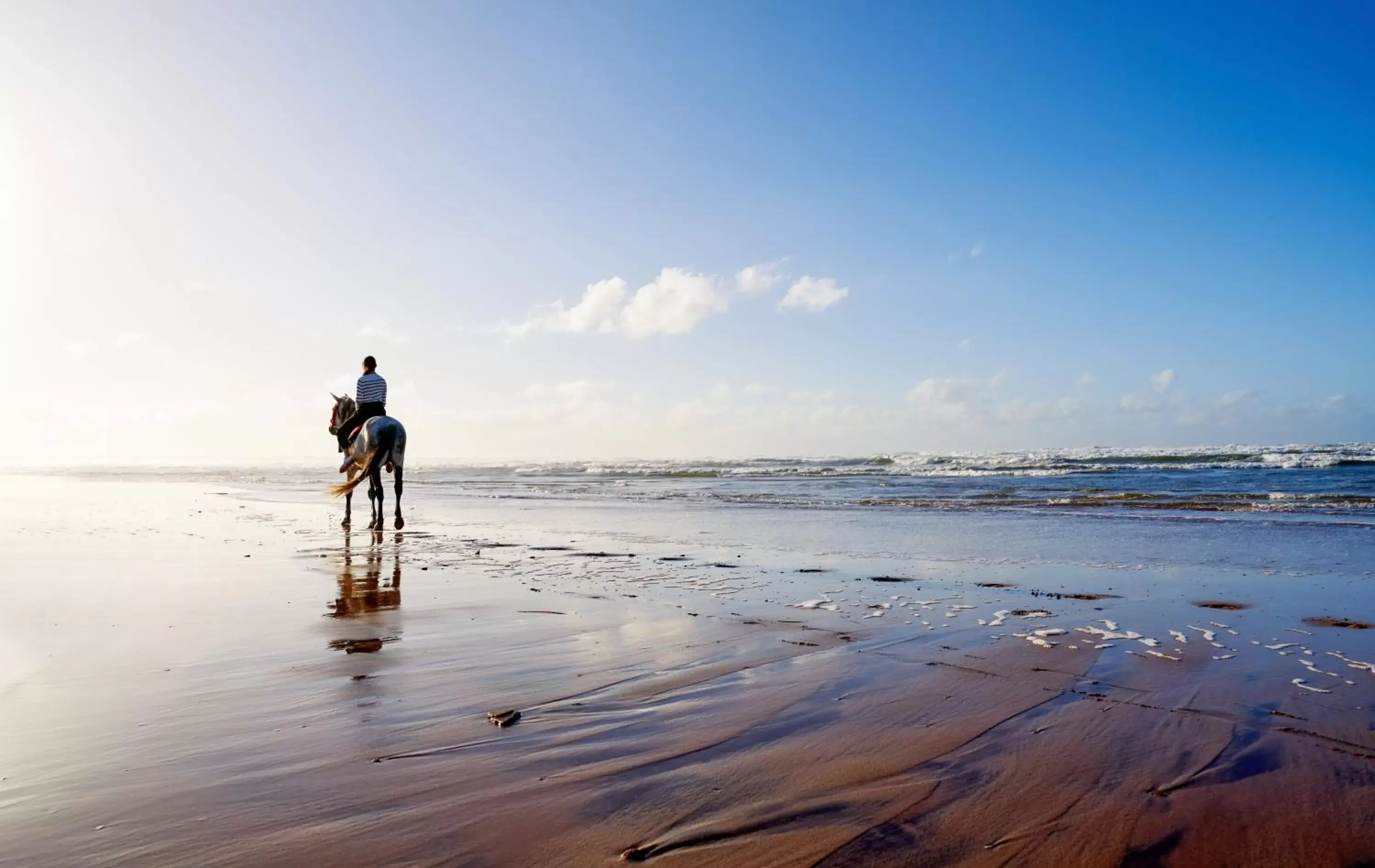 Day, Beach in Pullman Mazagan Royal Golf & Spa