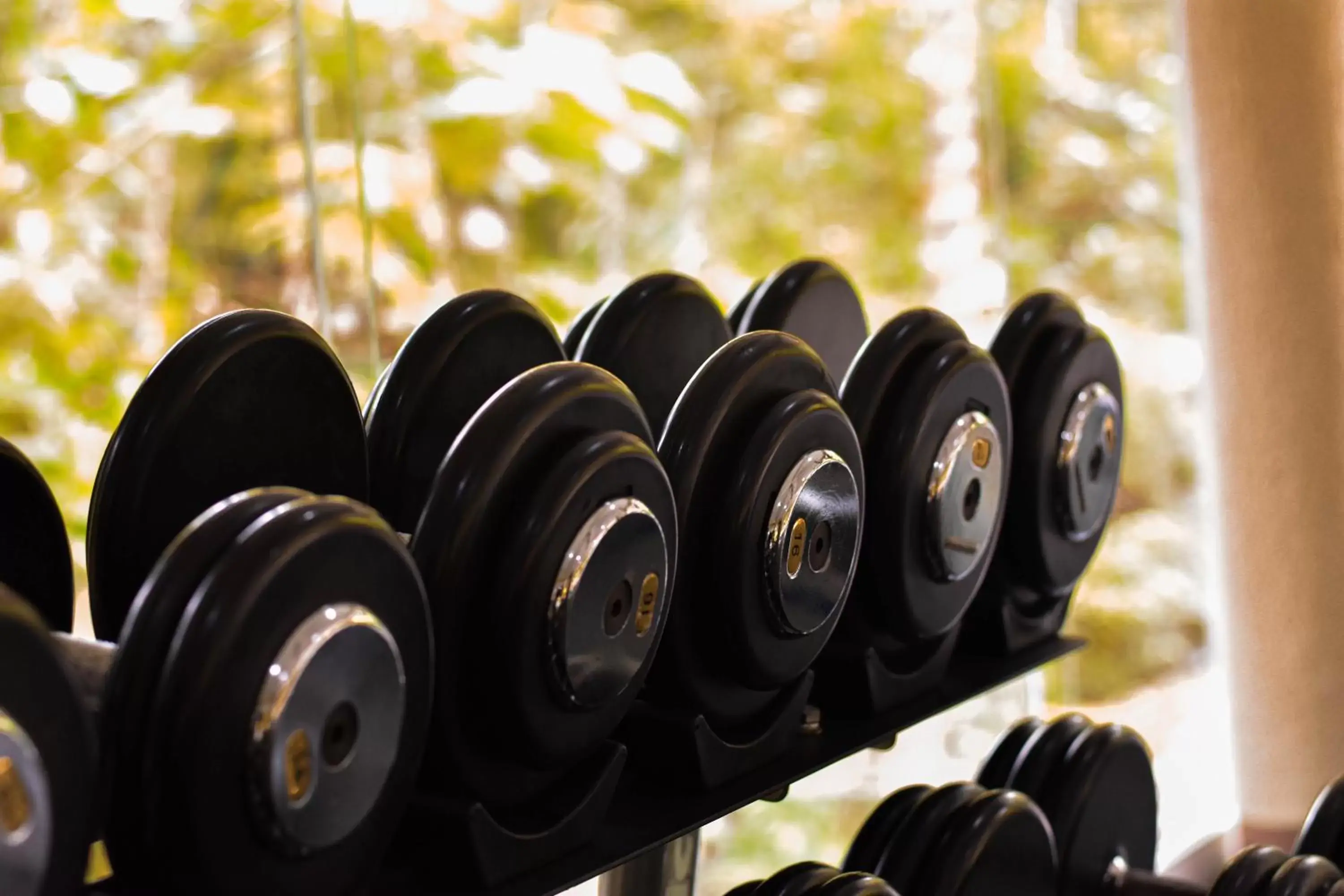 Fitness centre/facilities, Fitness Center/Facilities in Hotel Villa Mercedes Palenque