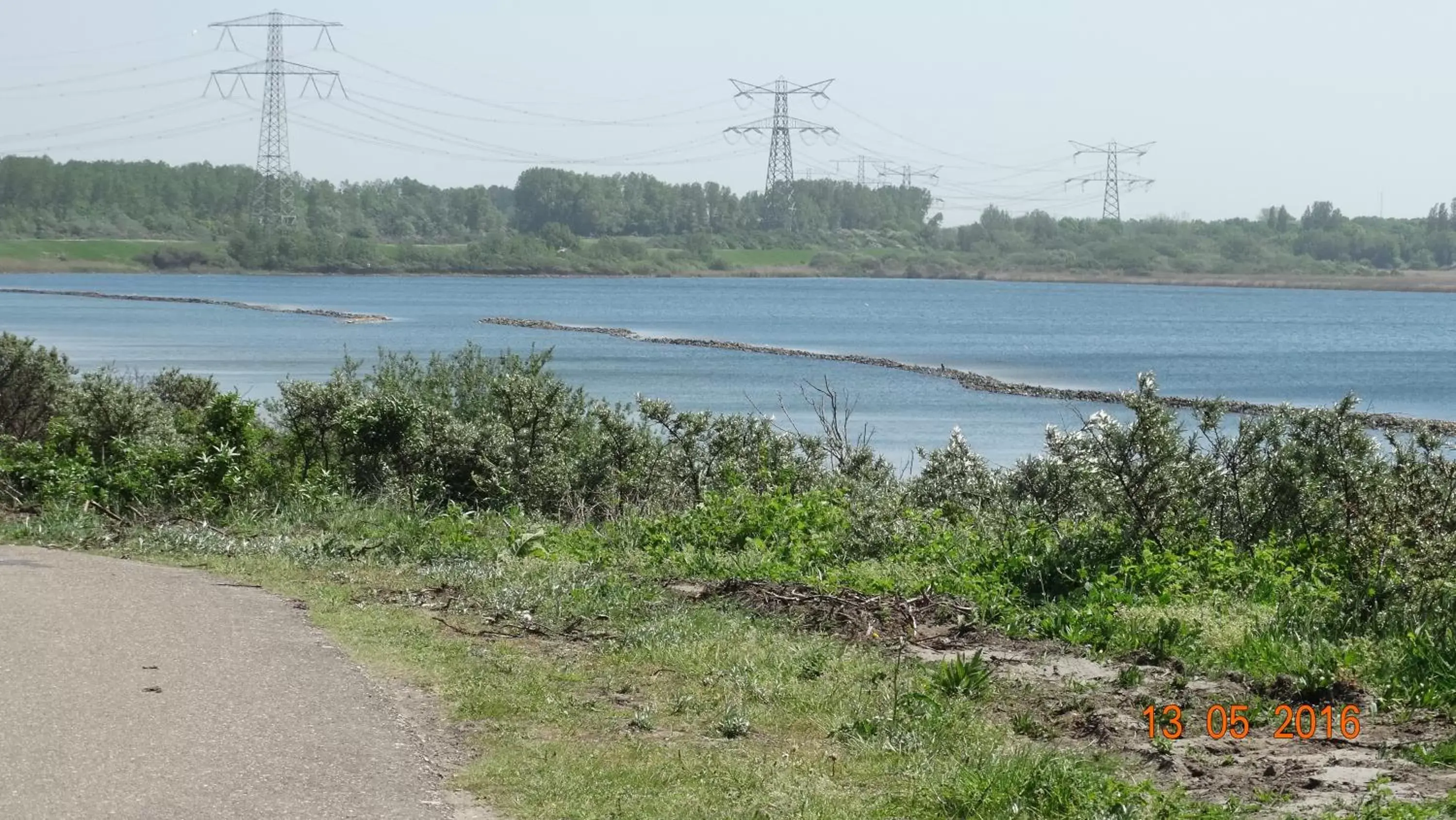 Natural landscape in Beach Hotel Oostvoorne