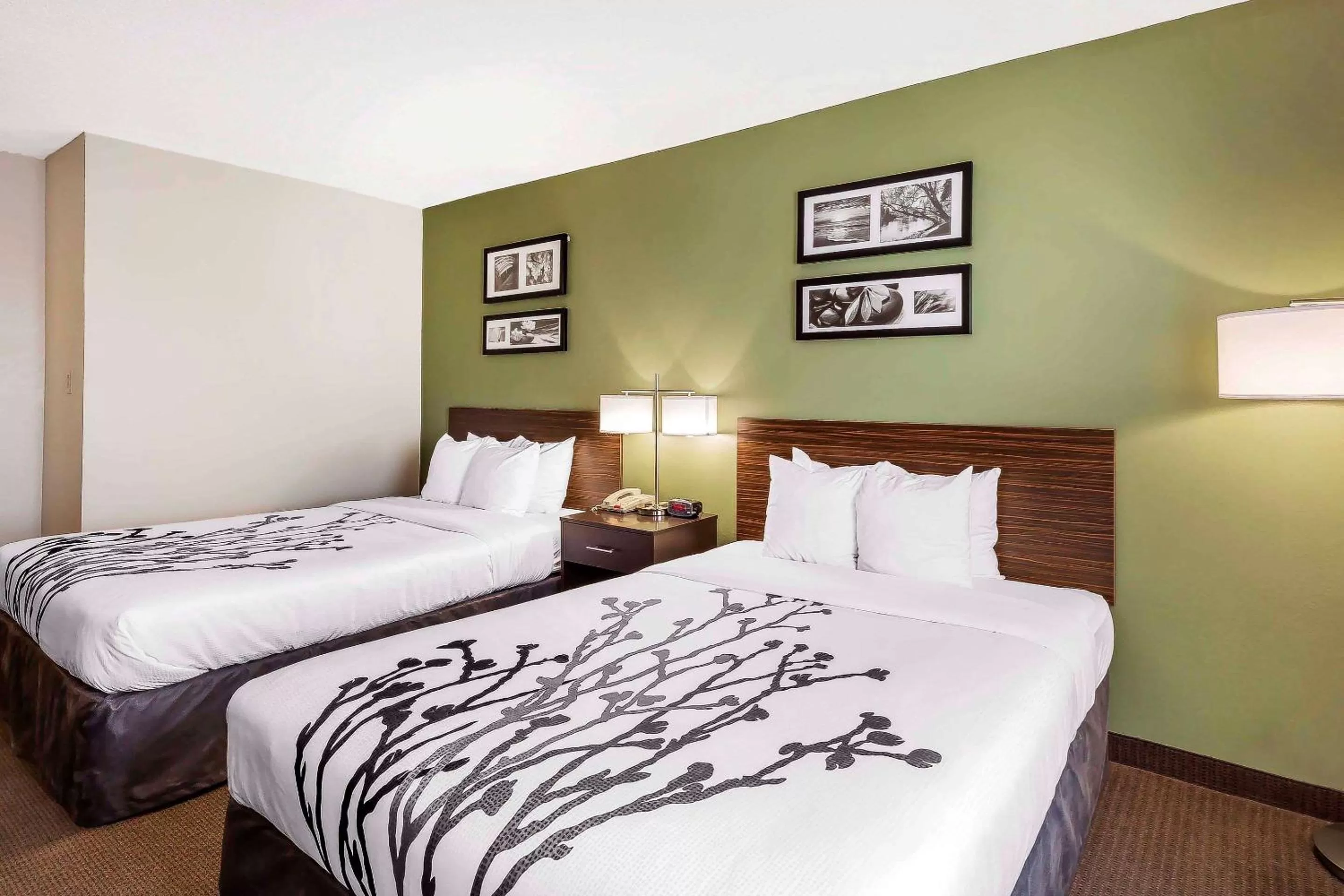 Photo of the whole room, Bed in Sleep Inn Columbia Gateway