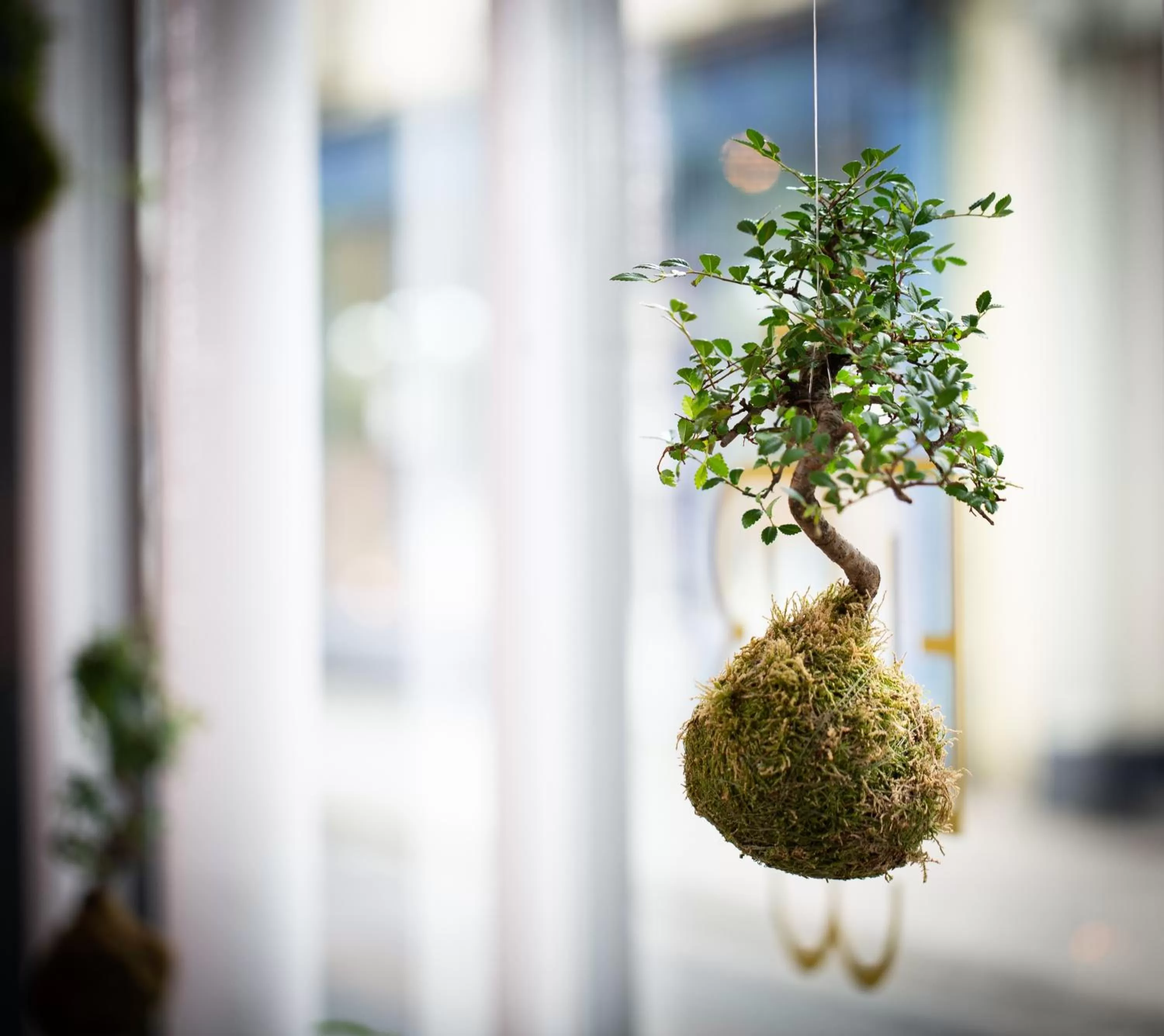 Restaurant/places to eat in The Black Bull Inn