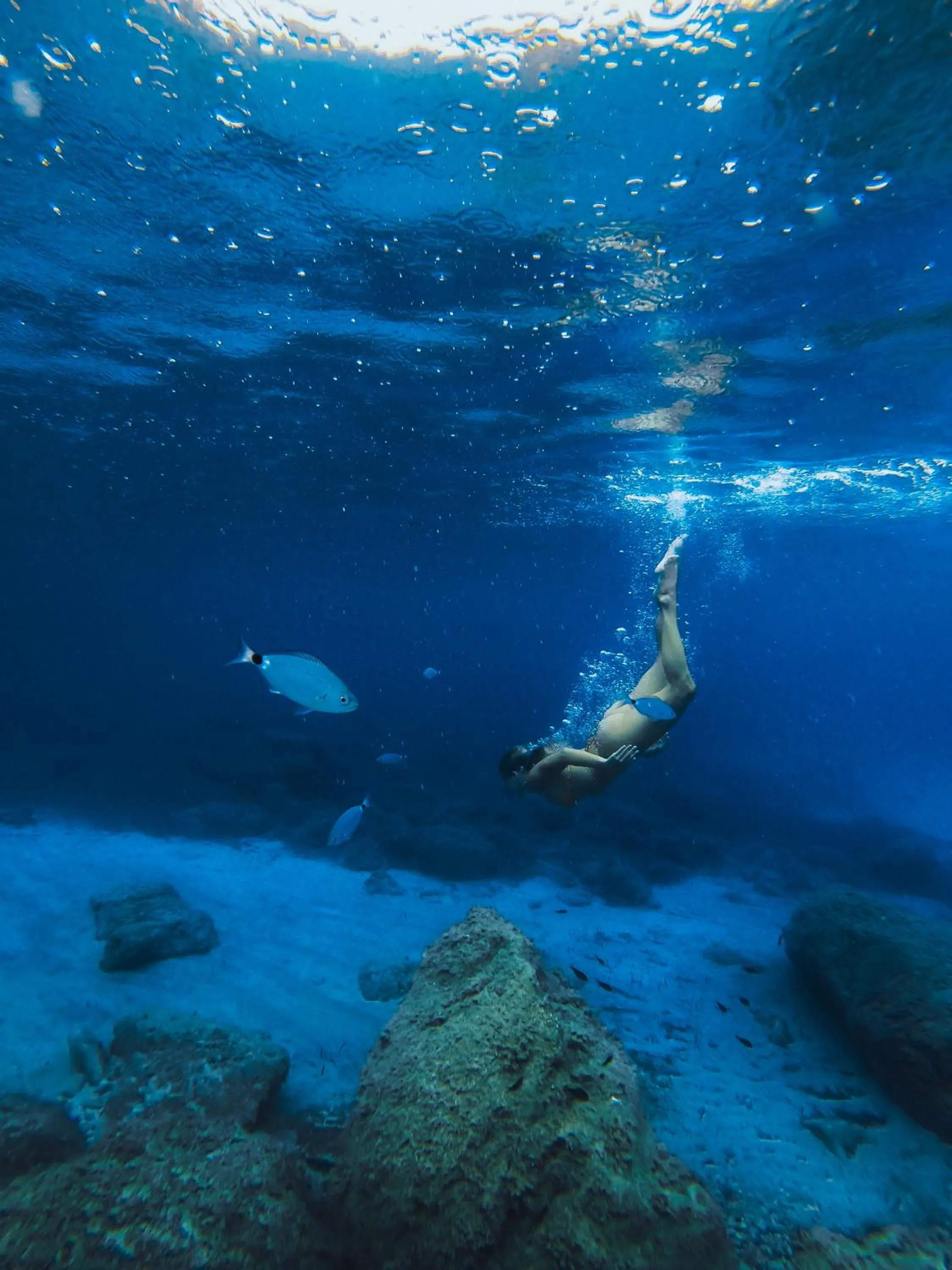 Beach in 7Pines Resort Ibiza, part of Destination by Hyatt