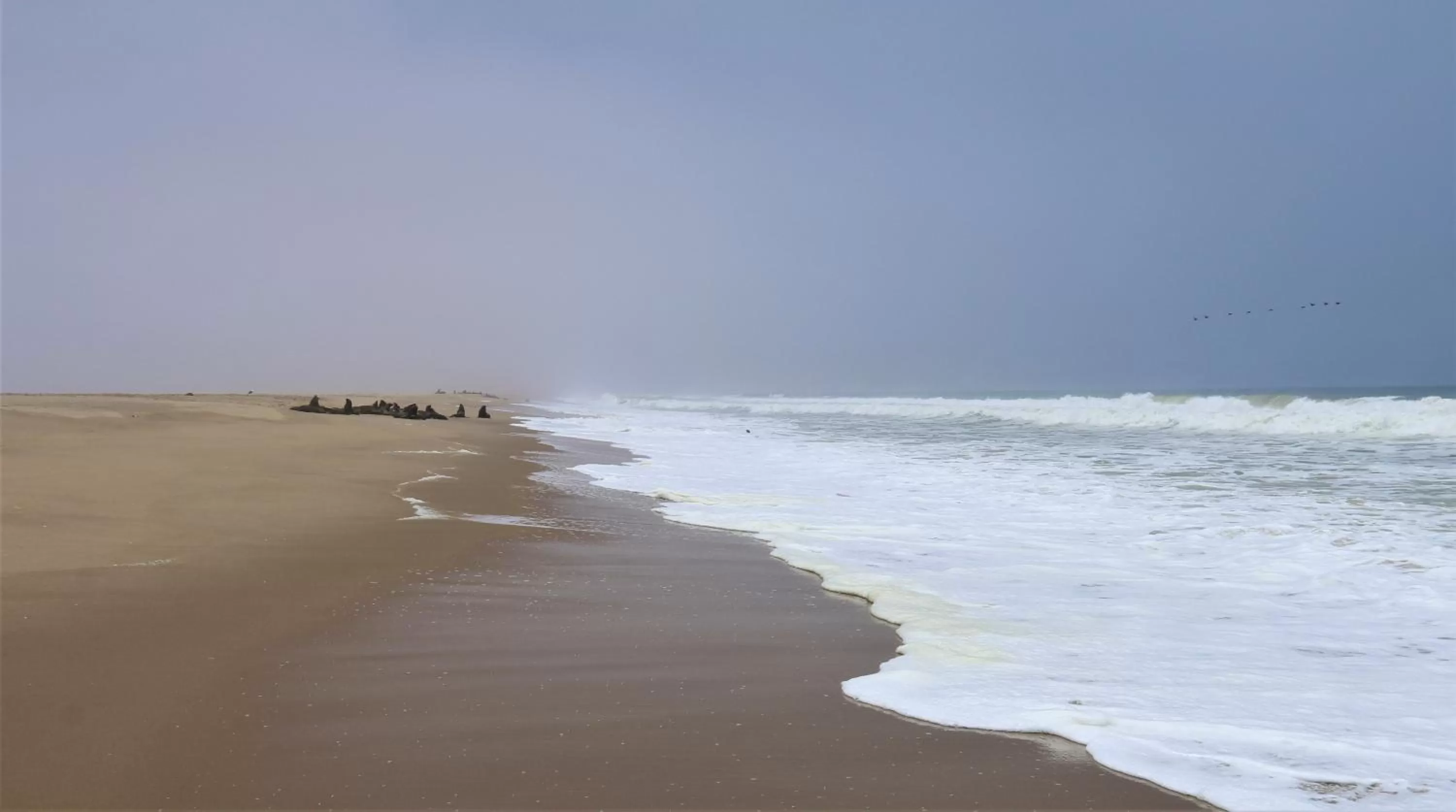 Beach in Tiende Laan Bed & Breakfast and Self-Catering