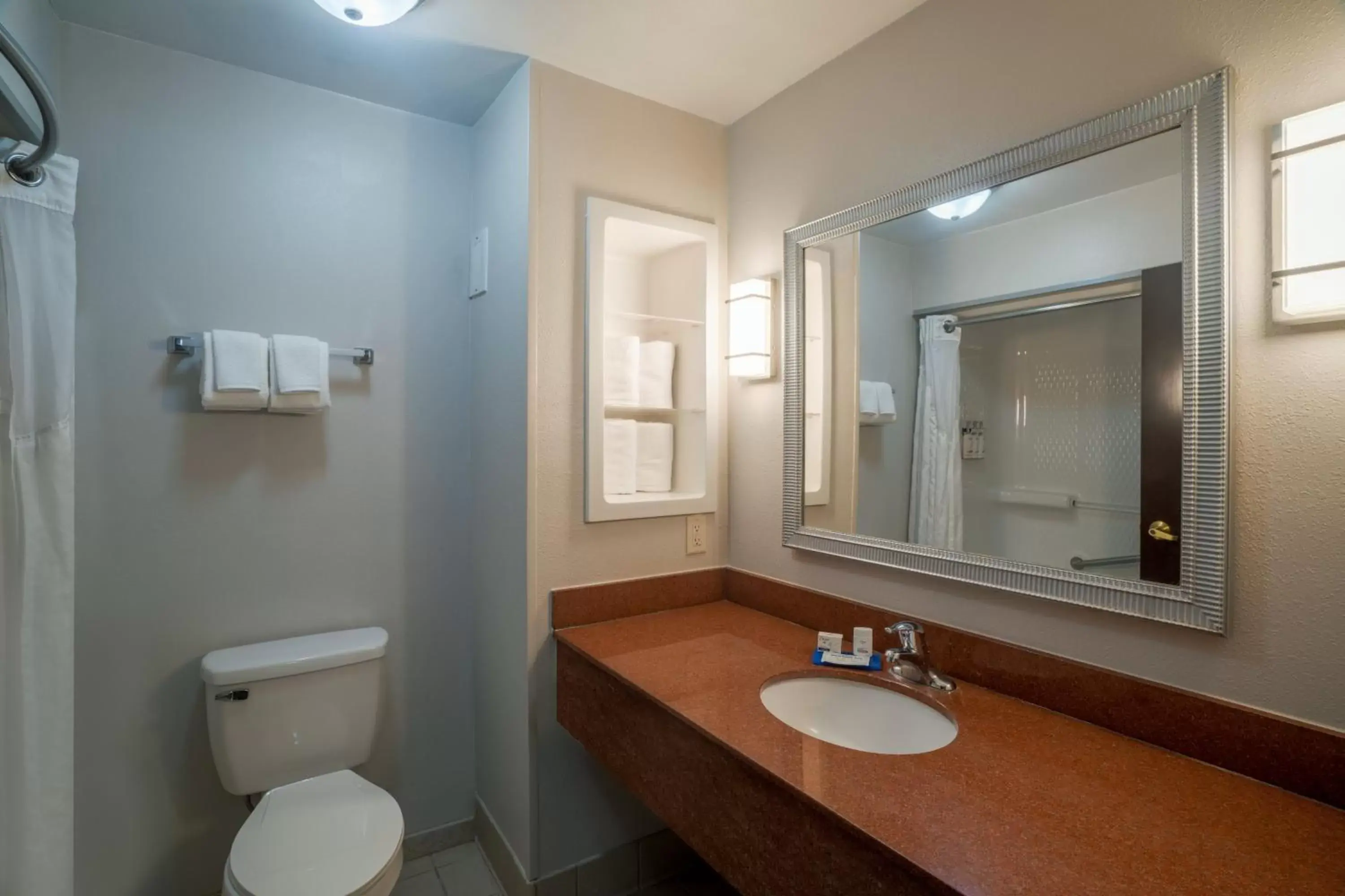 Bathroom in Holiday Inn Express Hotel & Suites Hinesville, an IHG Hotel