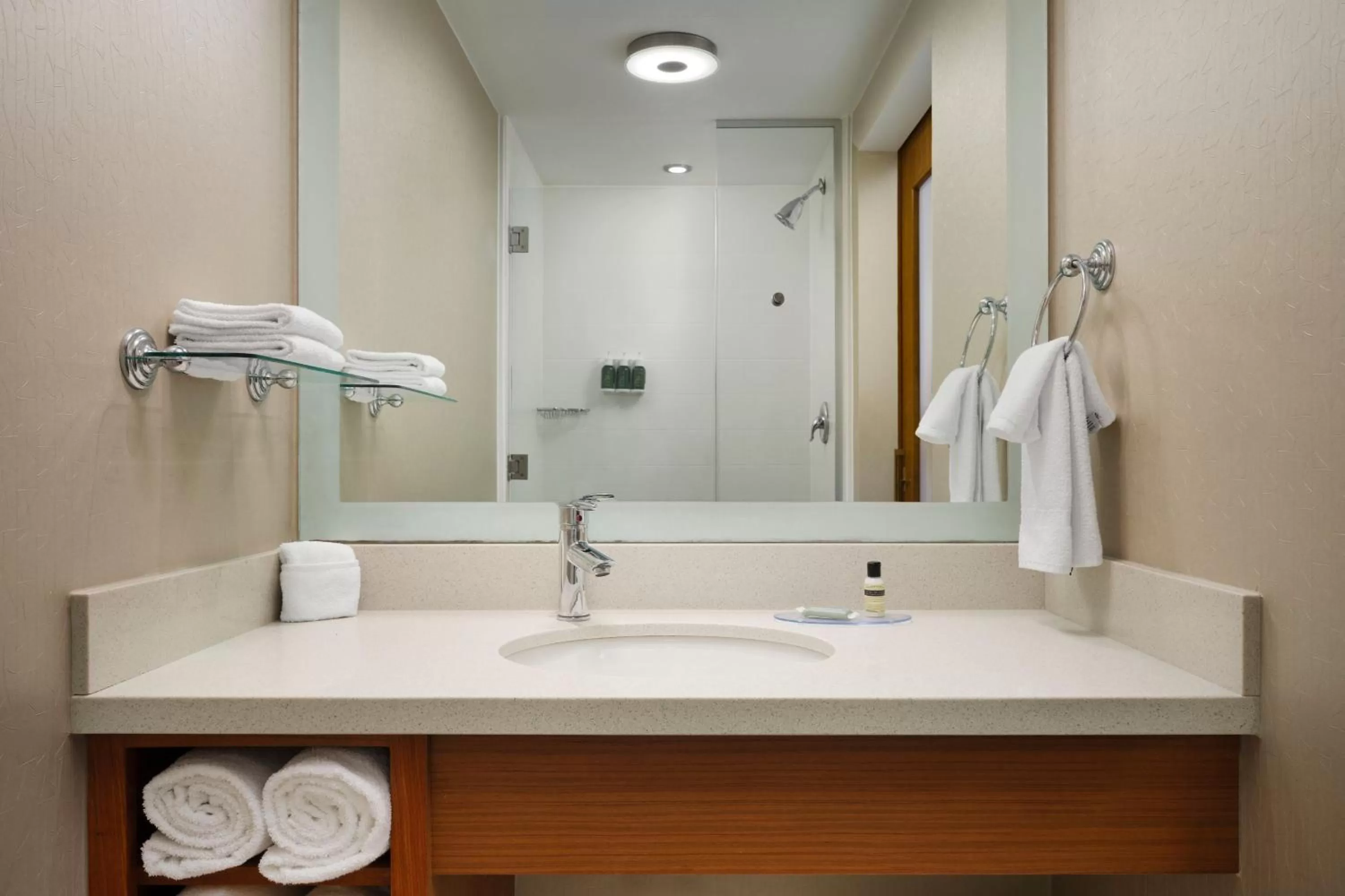 Bathroom in SpringHill Suites by Marriott Pittsburgh Mt. Lebanon