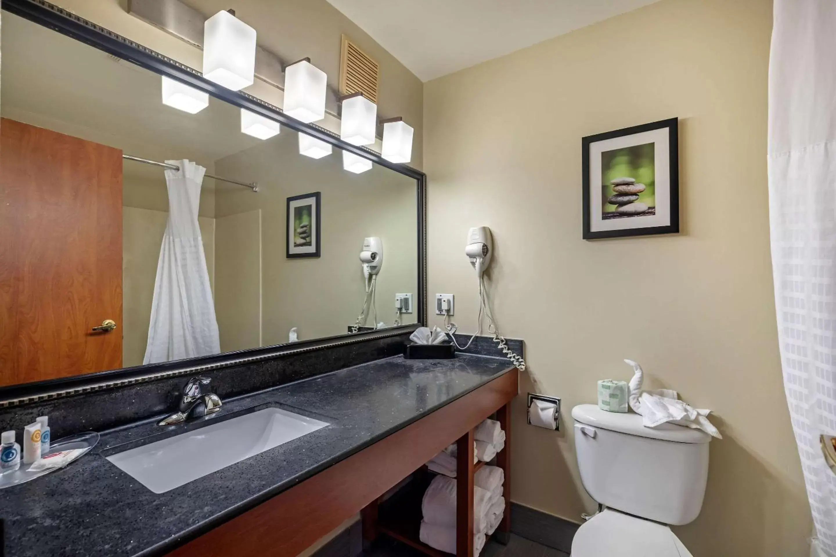 Photo of the whole room, Bathroom in Comfort Suites North Dallas