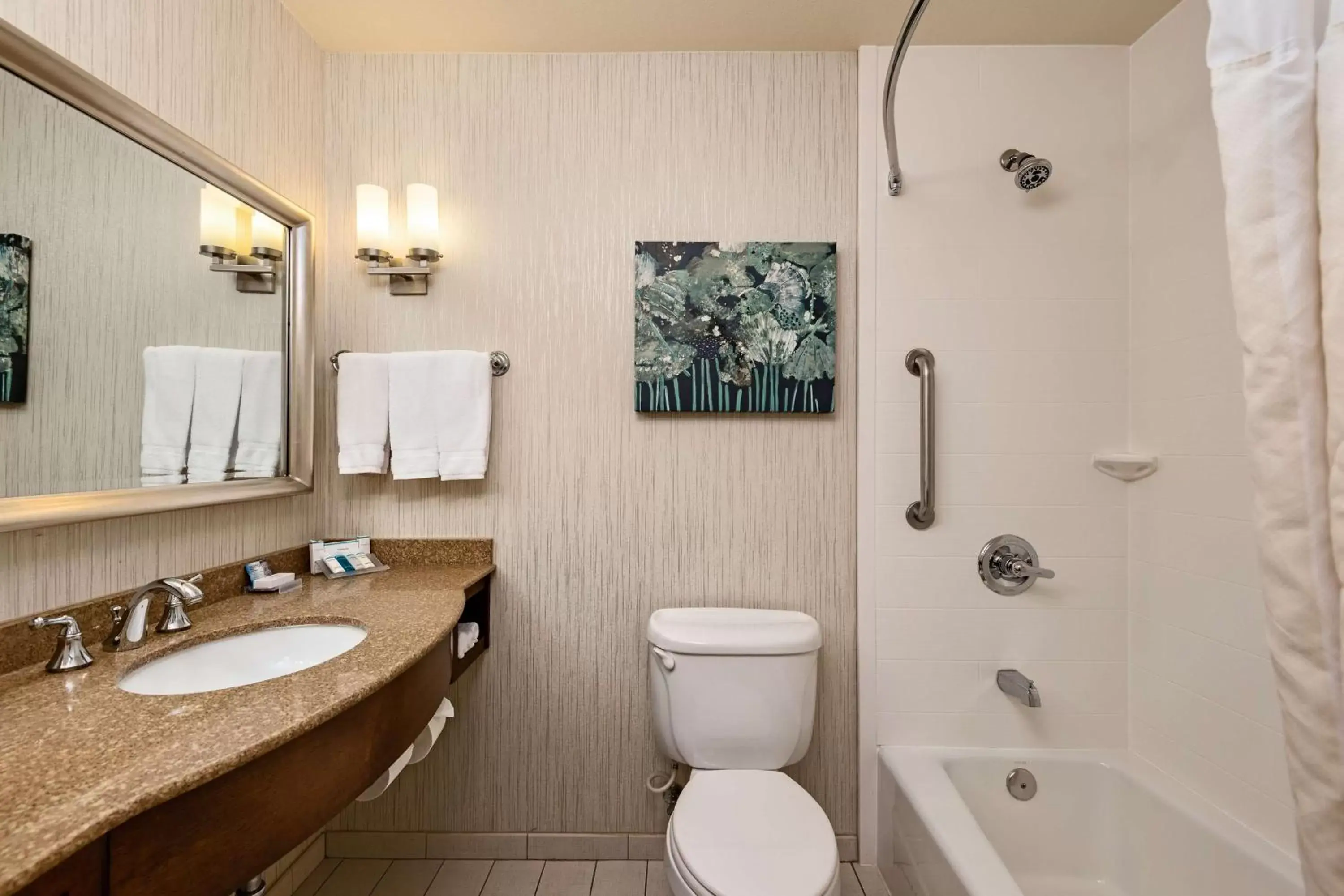 Bathroom in Hilton Garden Inn Overland Park