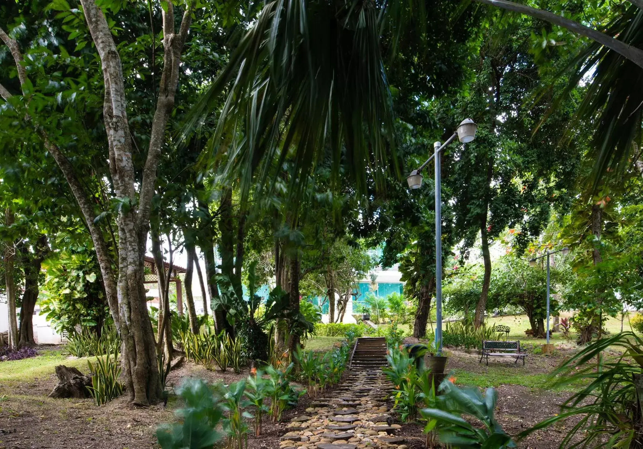 Garden in Casa Aakal Lagoon Front