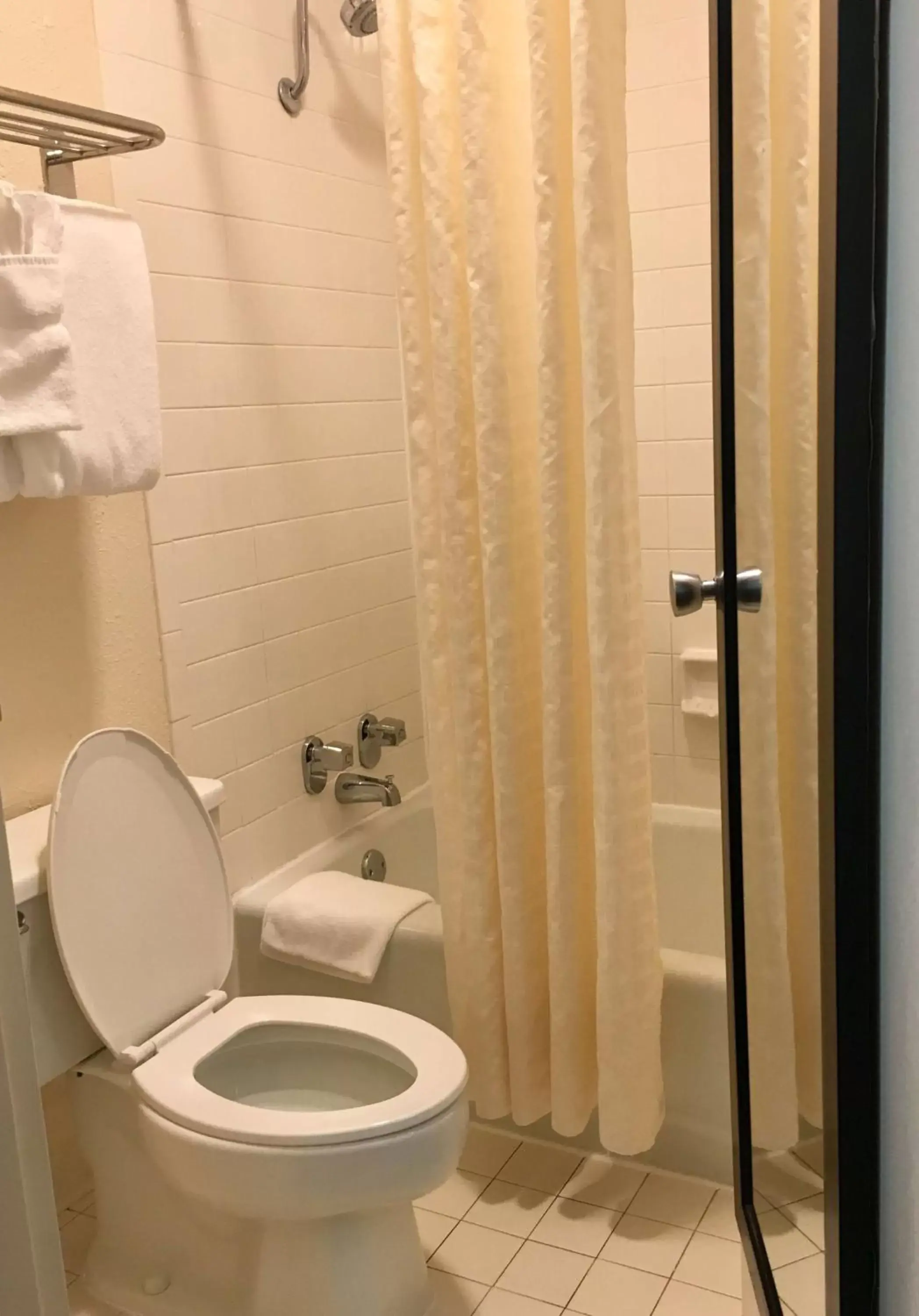 Bathroom in Best Western Greenville Airport