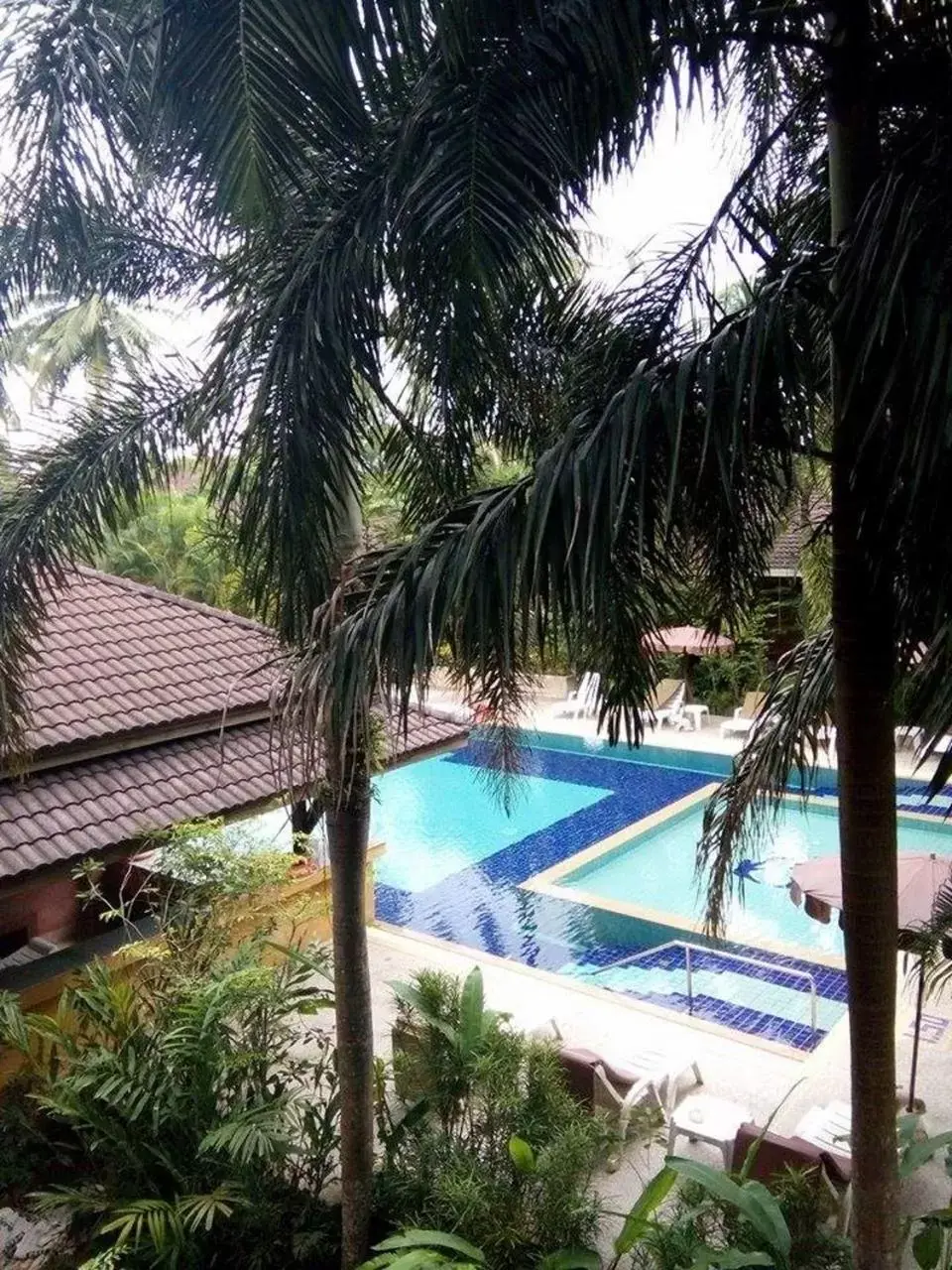 Swimming pool, Pool View in Sudala Beach Resort