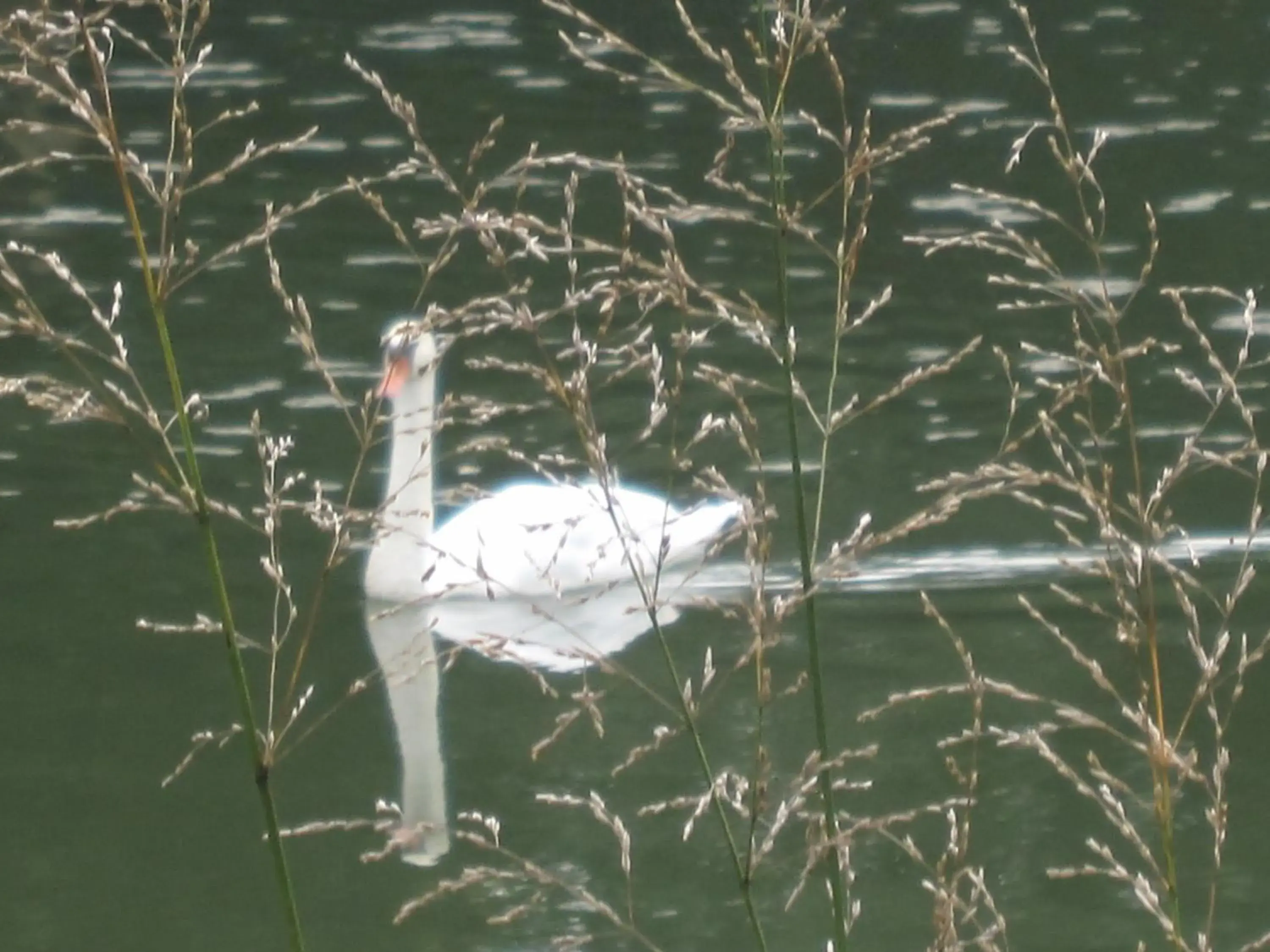 River view in La Coutrotte Becquine River view in La Coutrotte Becquine