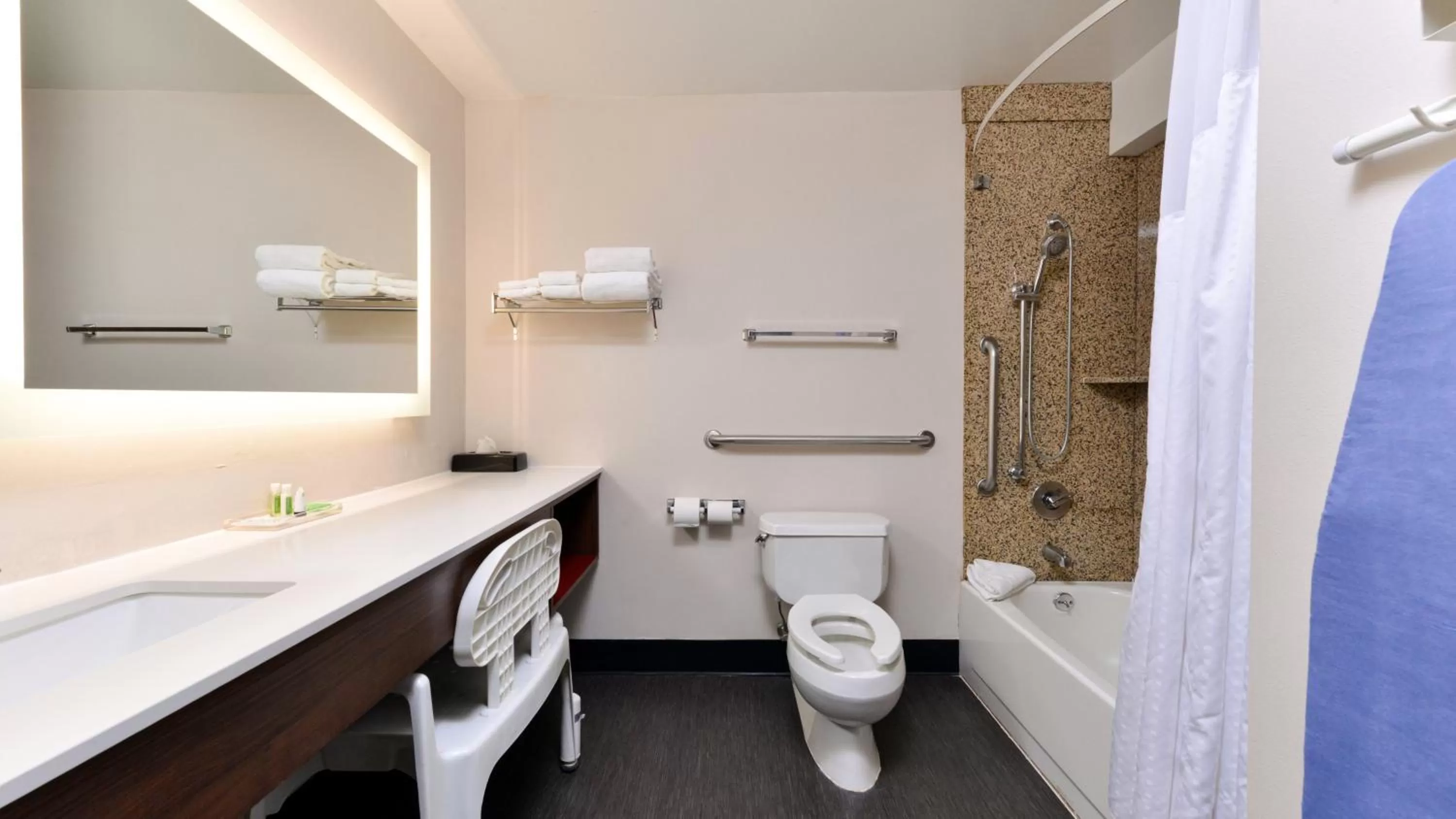 Bathroom in Holiday Inn Great Falls-Convention Center by IHG