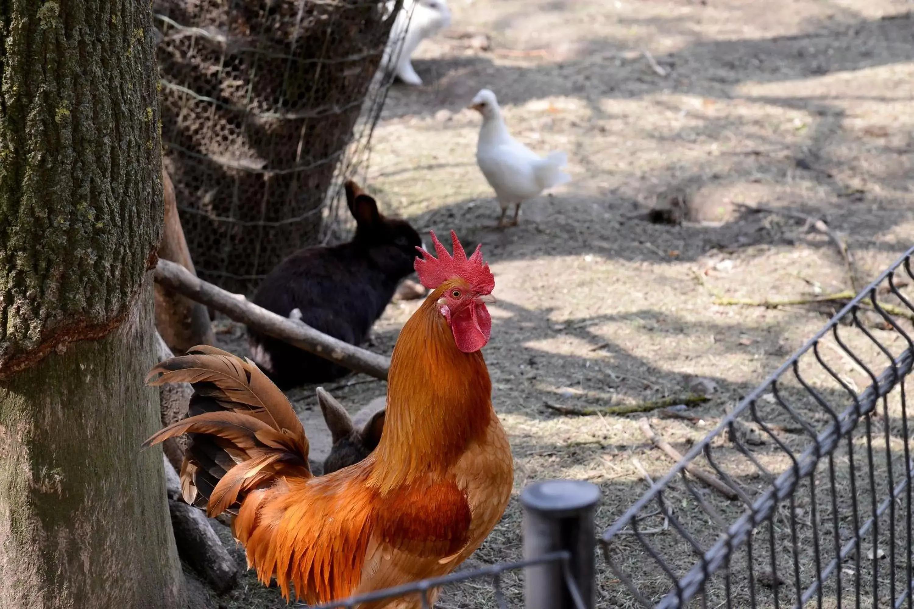 Property building, Other Animals in Guest House Aan de Hollandse IJssel