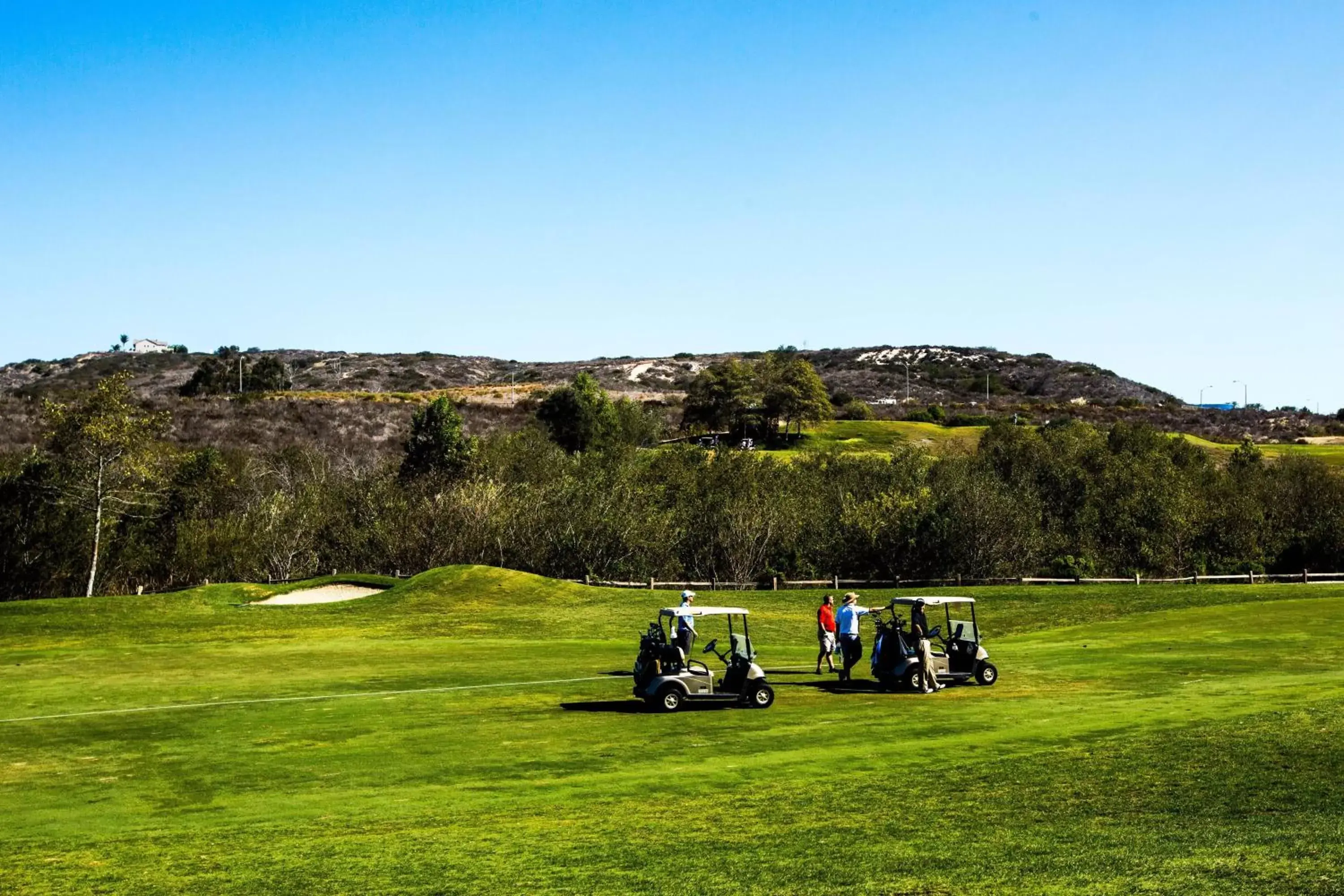 Golfcourse in Sheraton Carlsbad Resort & Spa