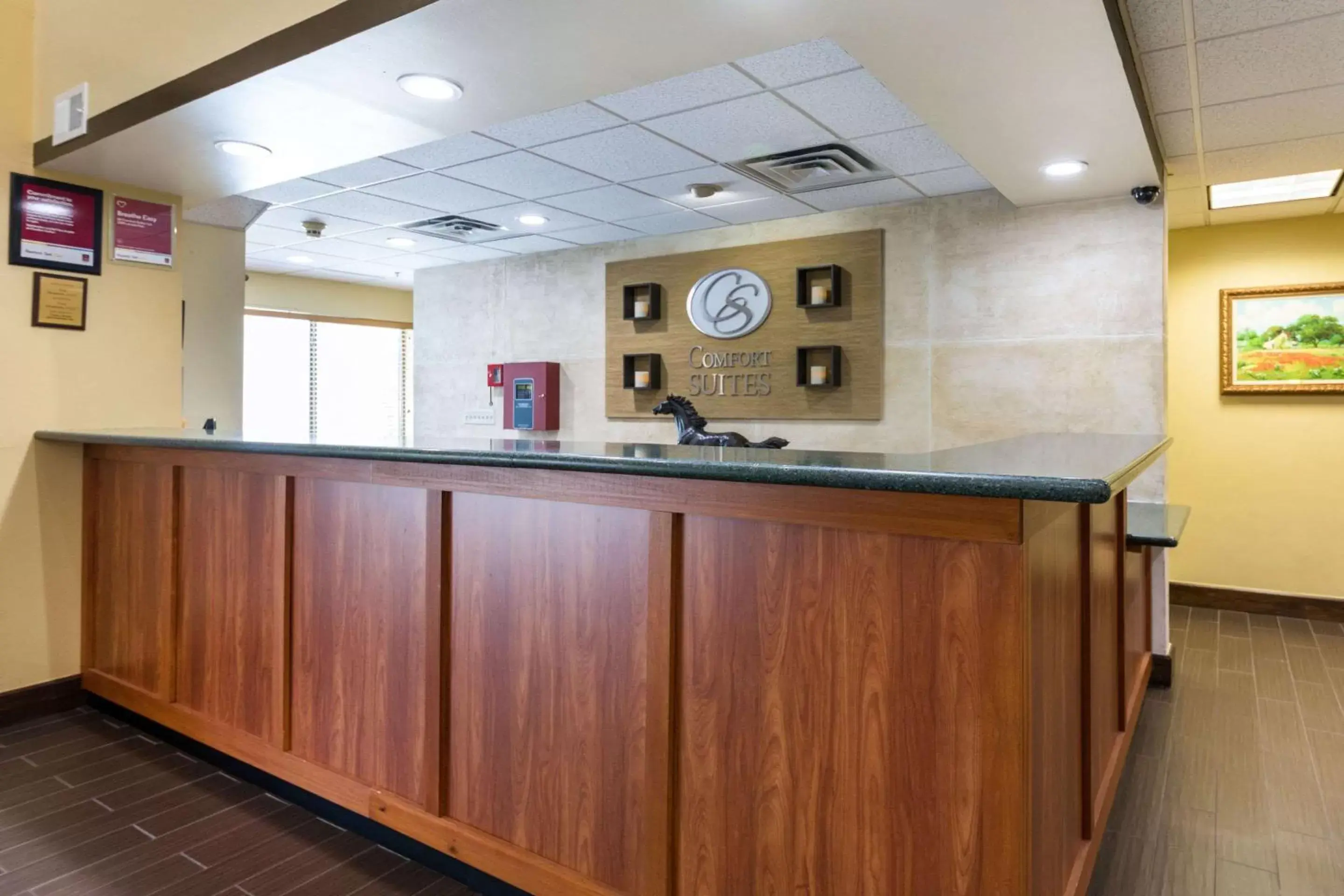 Lobby or reception, Lobby/Reception in Comfort Suites Austin Airport