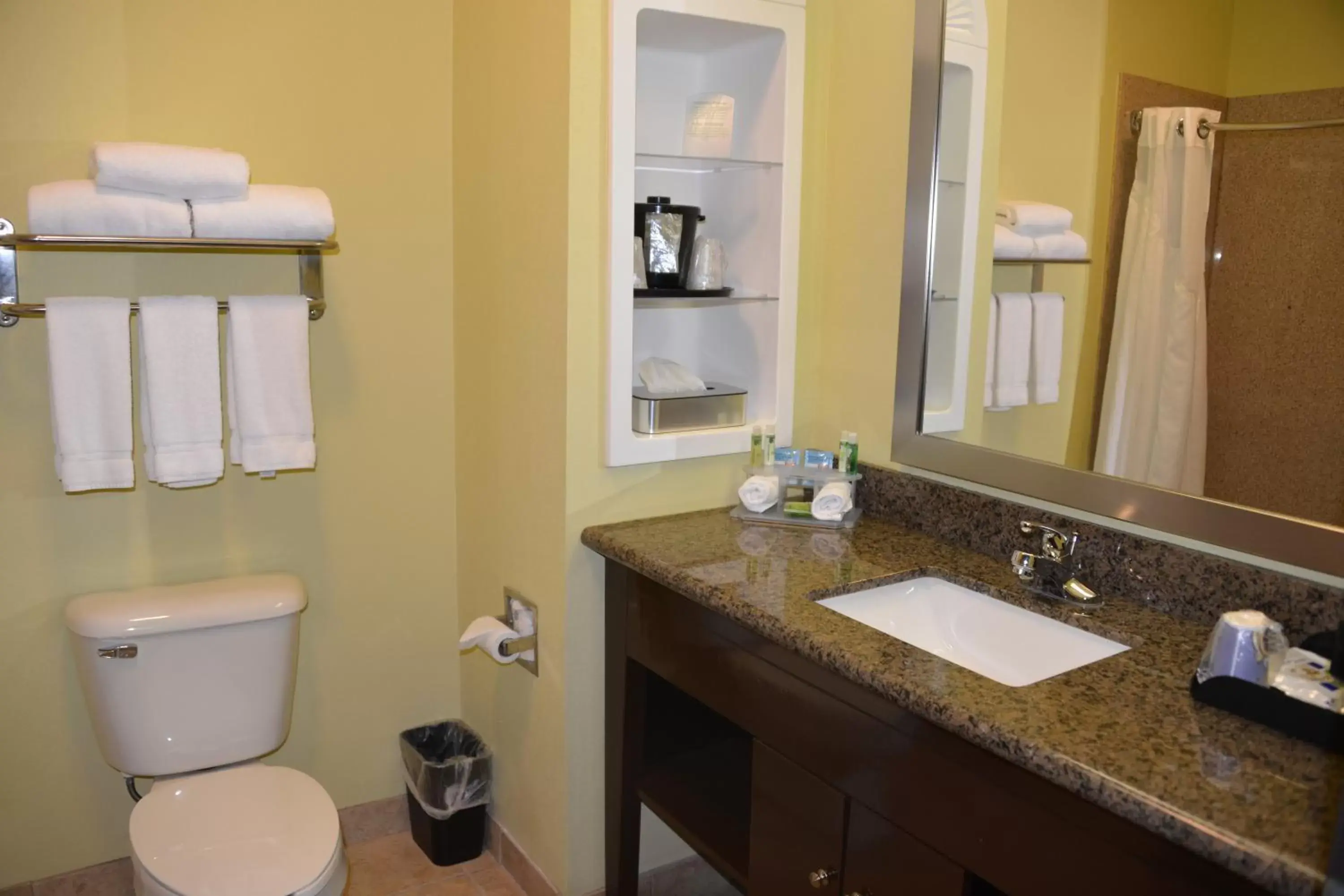 Bathroom in Holiday Inn Express Hotel & Suites Dumas, an IHG Hotel