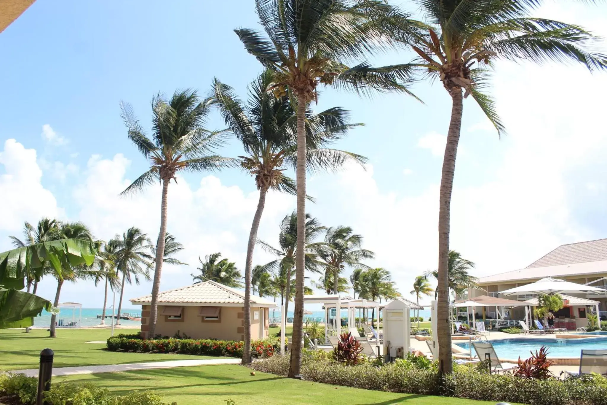 Swimming Pool in Holiday Inn Resort Grand Cayman, an IHG Hotel