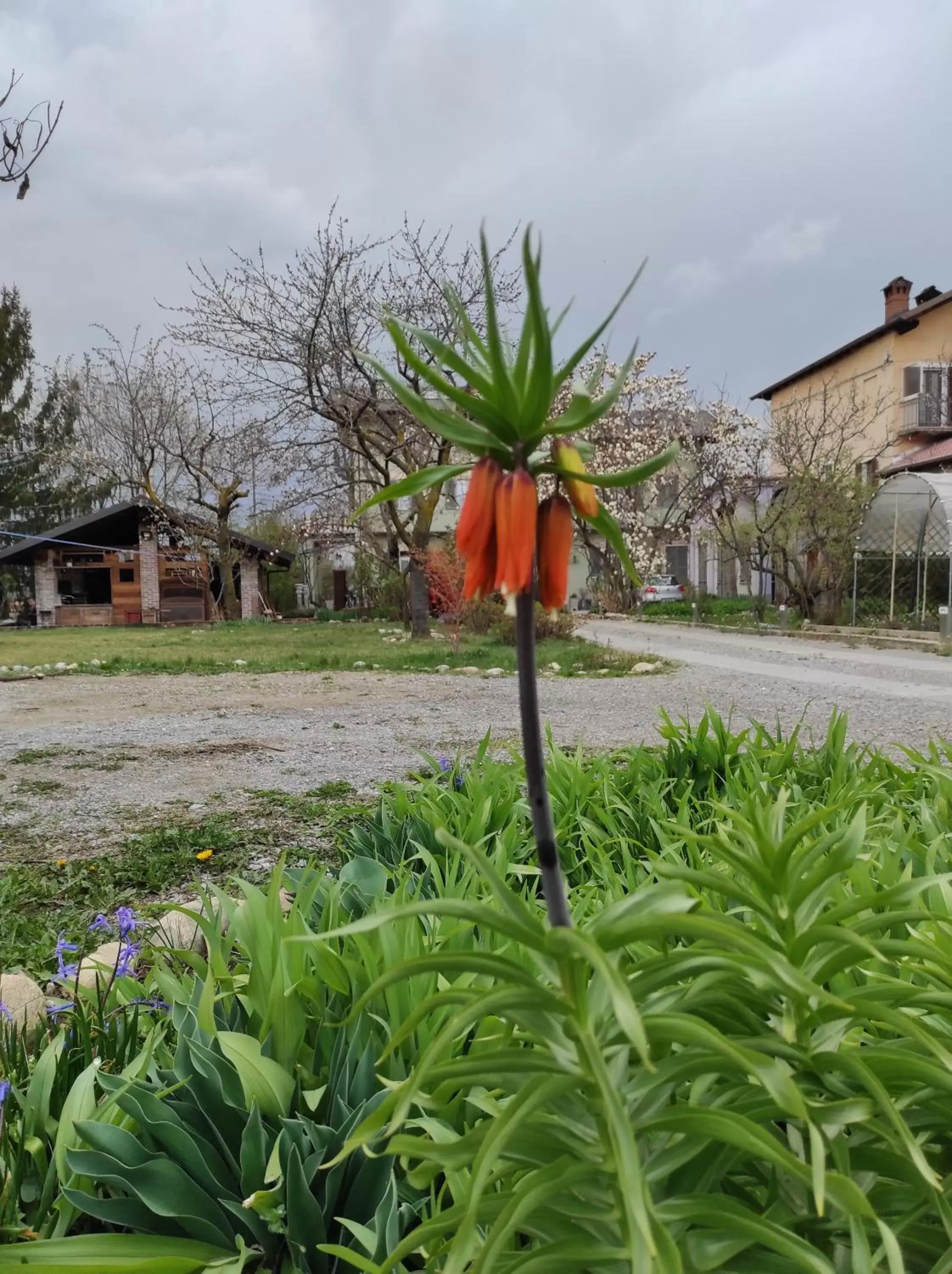 Tetto alle Rondini