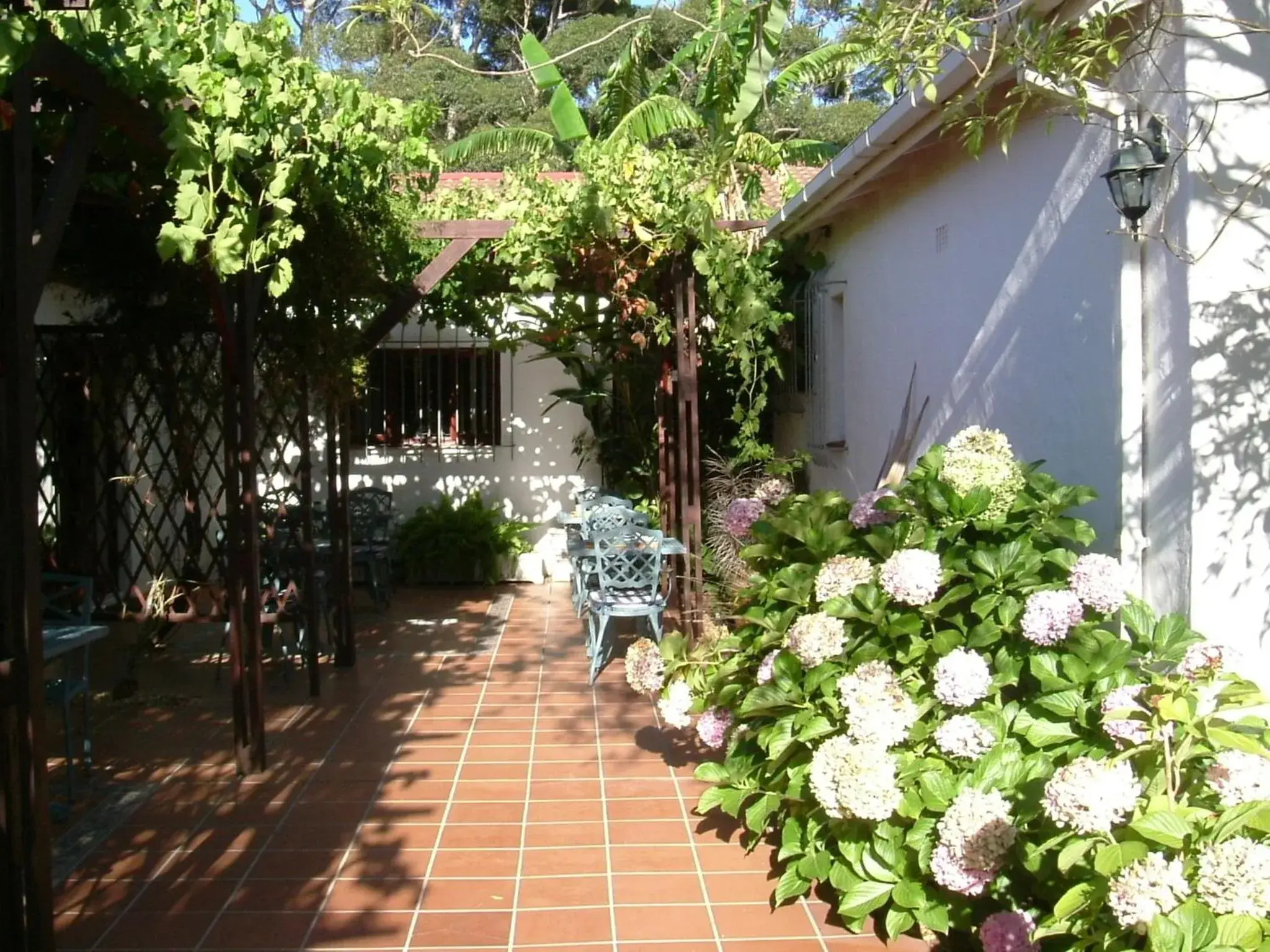 Patio, Property Building in Vine Guesthouse