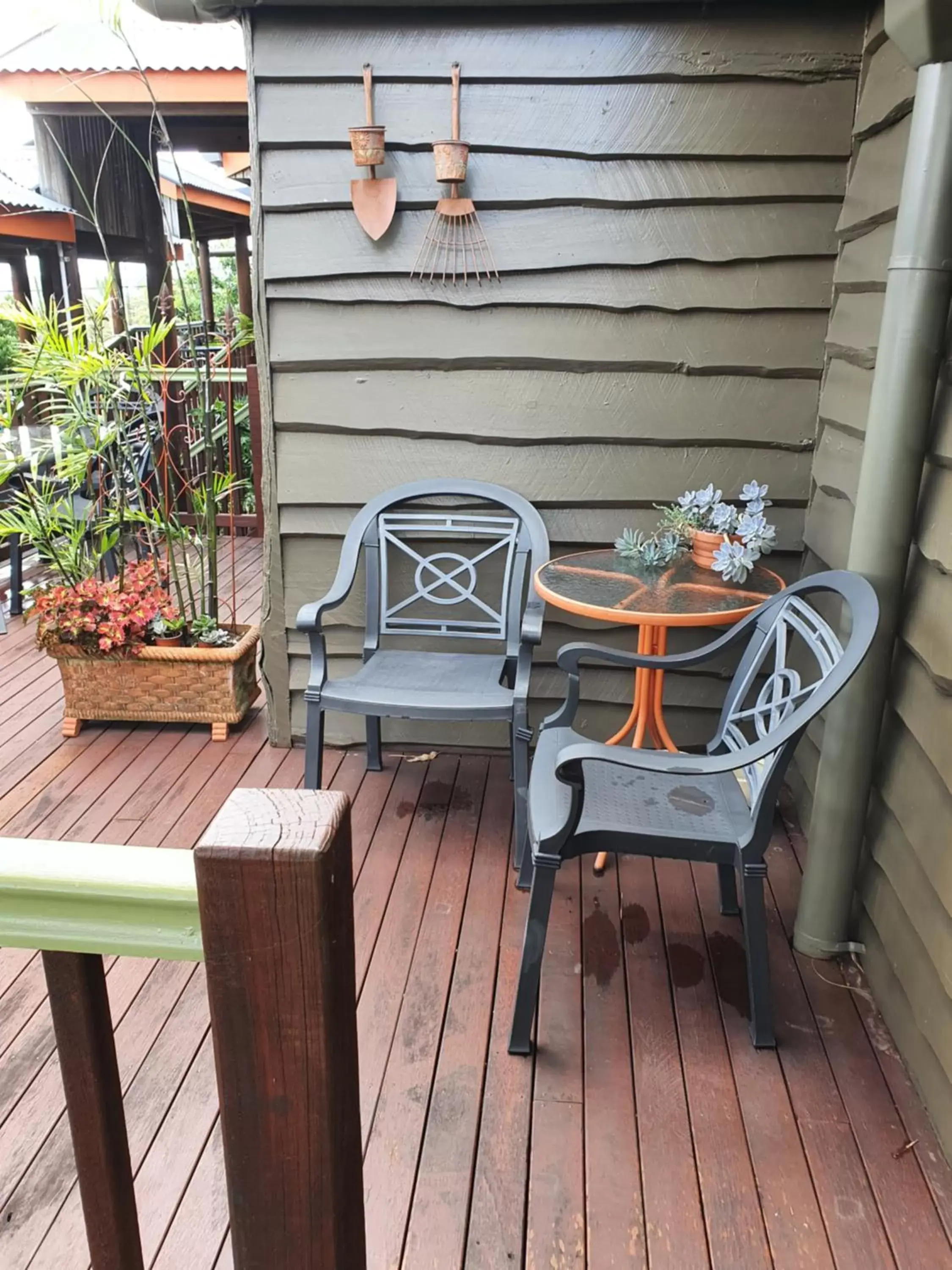 Balcony/Terrace in Tamborine Mountain Bed and Breakfast