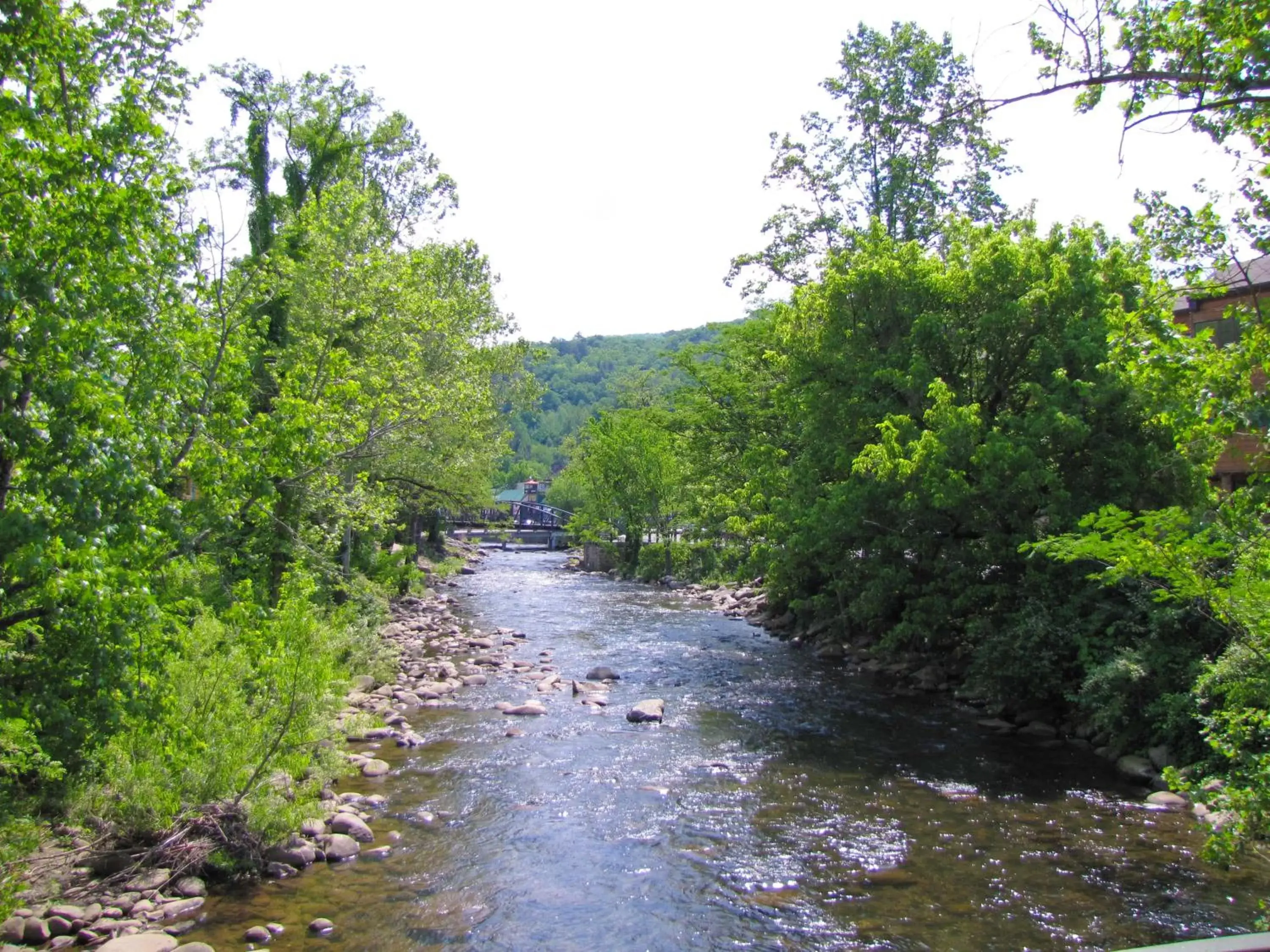 Natural Landscape in River Terrace Resort & Convention Center