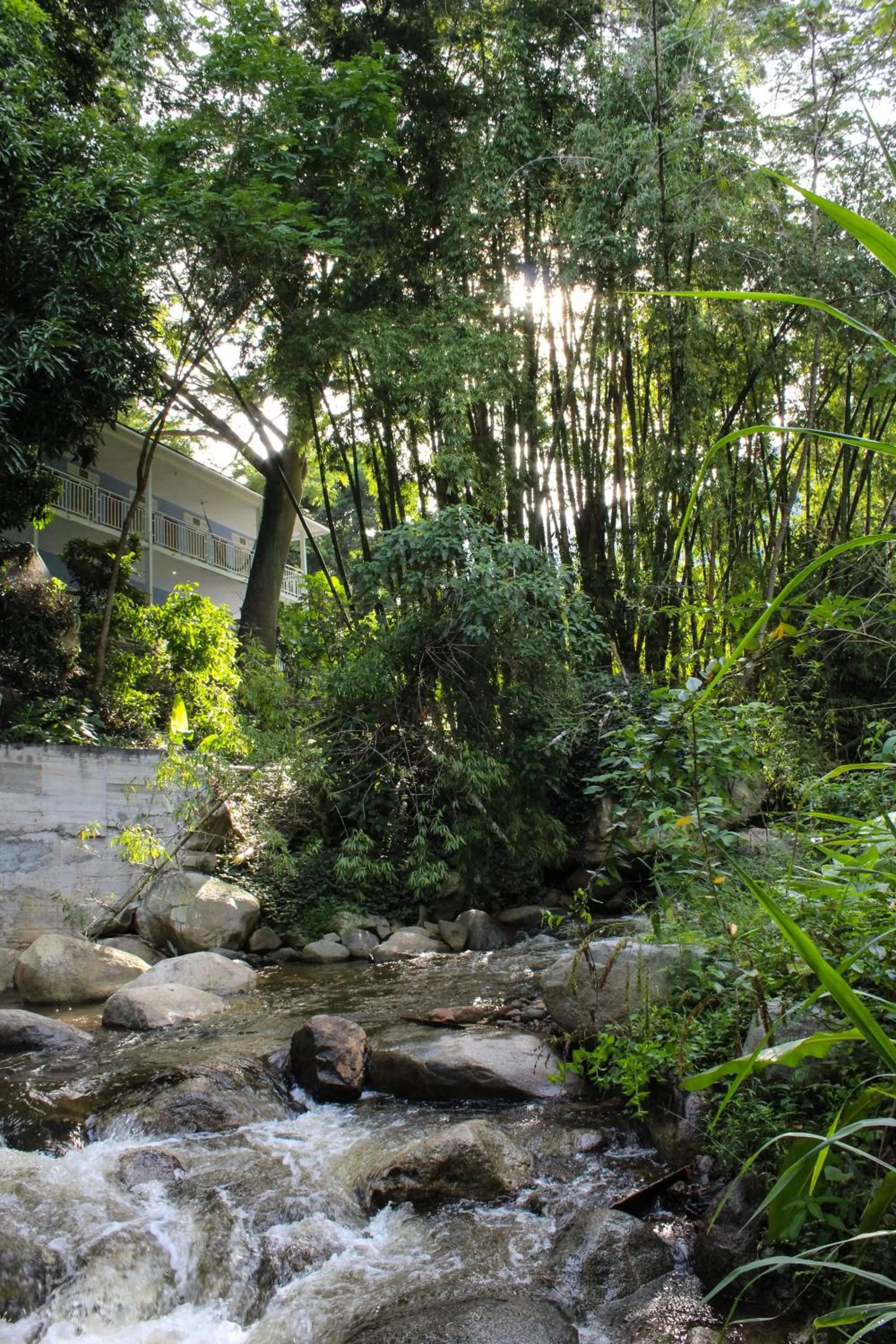 Garden in Rio Escondido