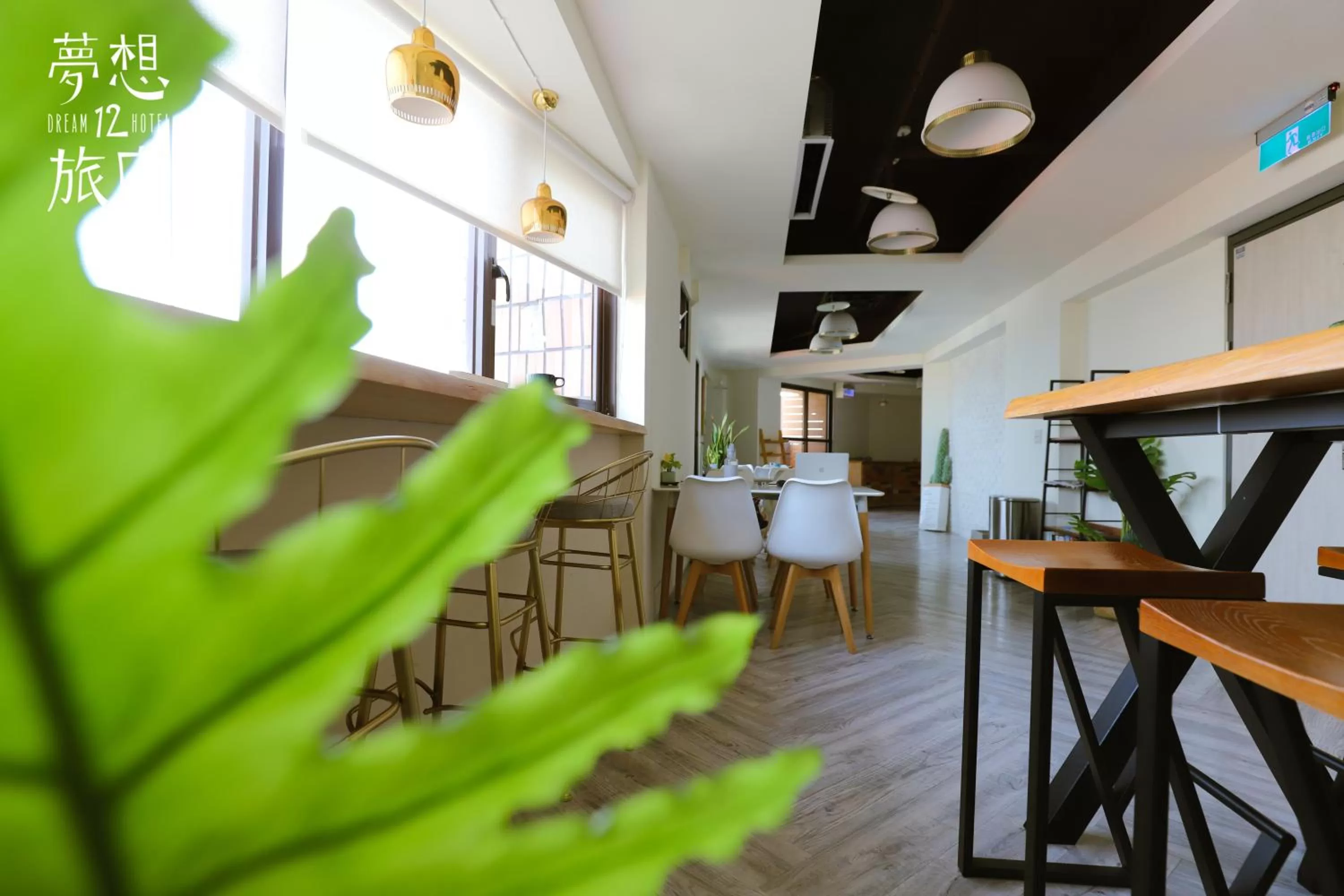 Restaurant/places to eat in Dream 12 Hotel