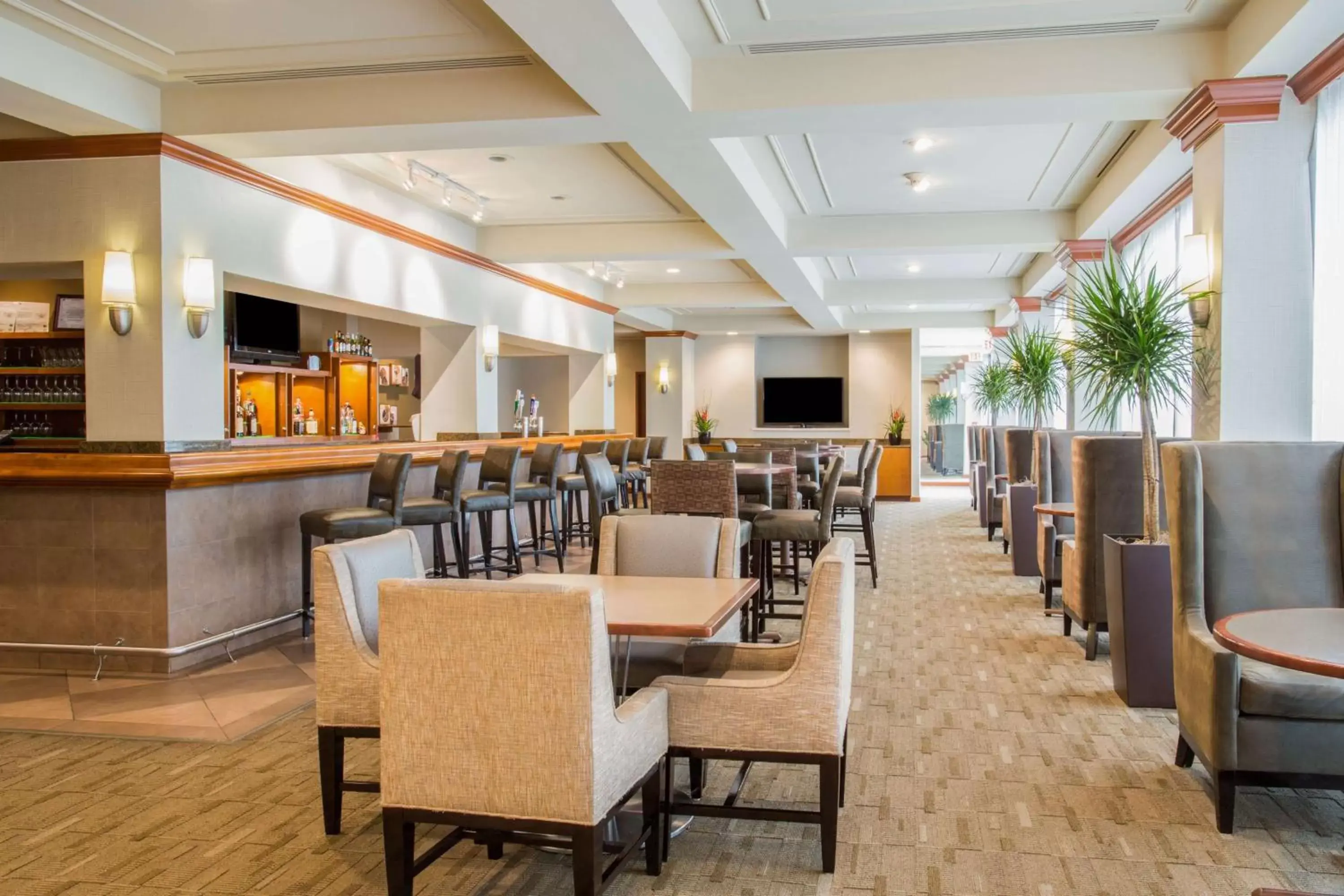 Lounge or bar, Restaurant/Places to Eat in Sonesta Miami Airport
