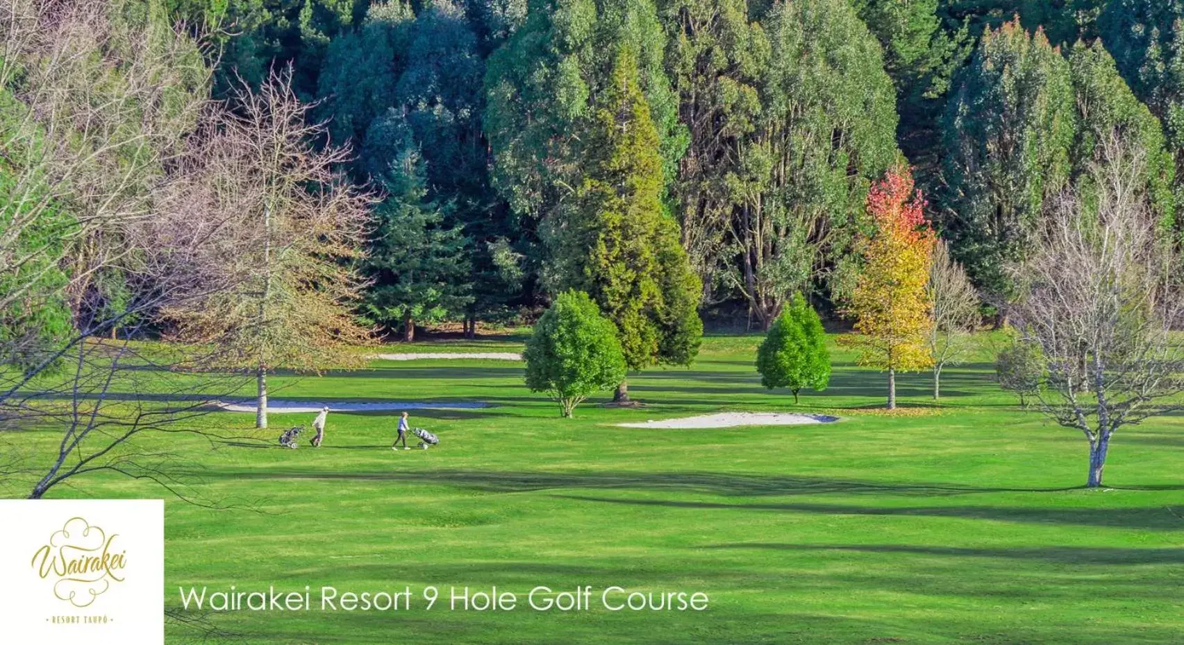 Natural landscape, Garden in Wairakei Resort Taupo