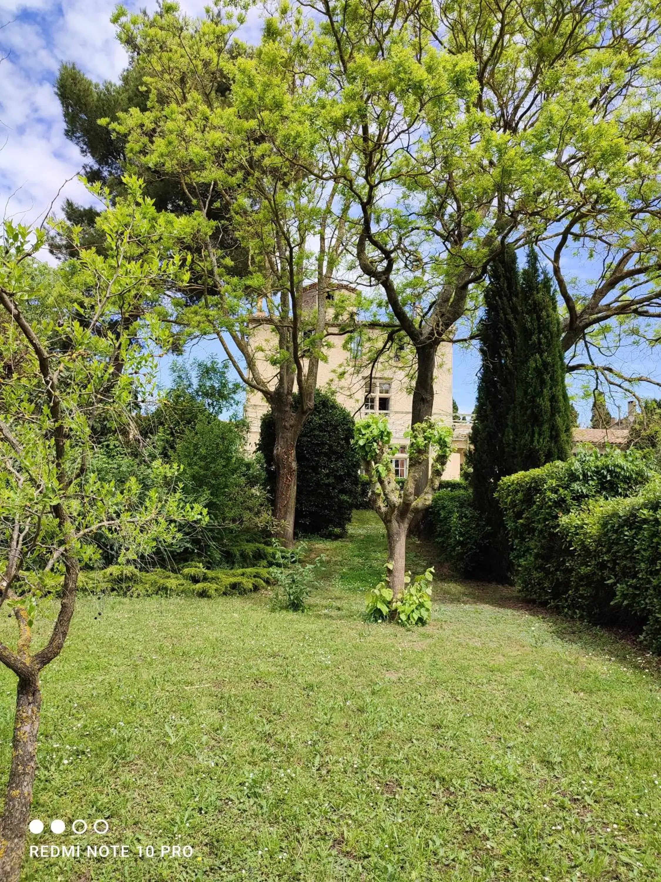 Garden in Château Saint-Martin