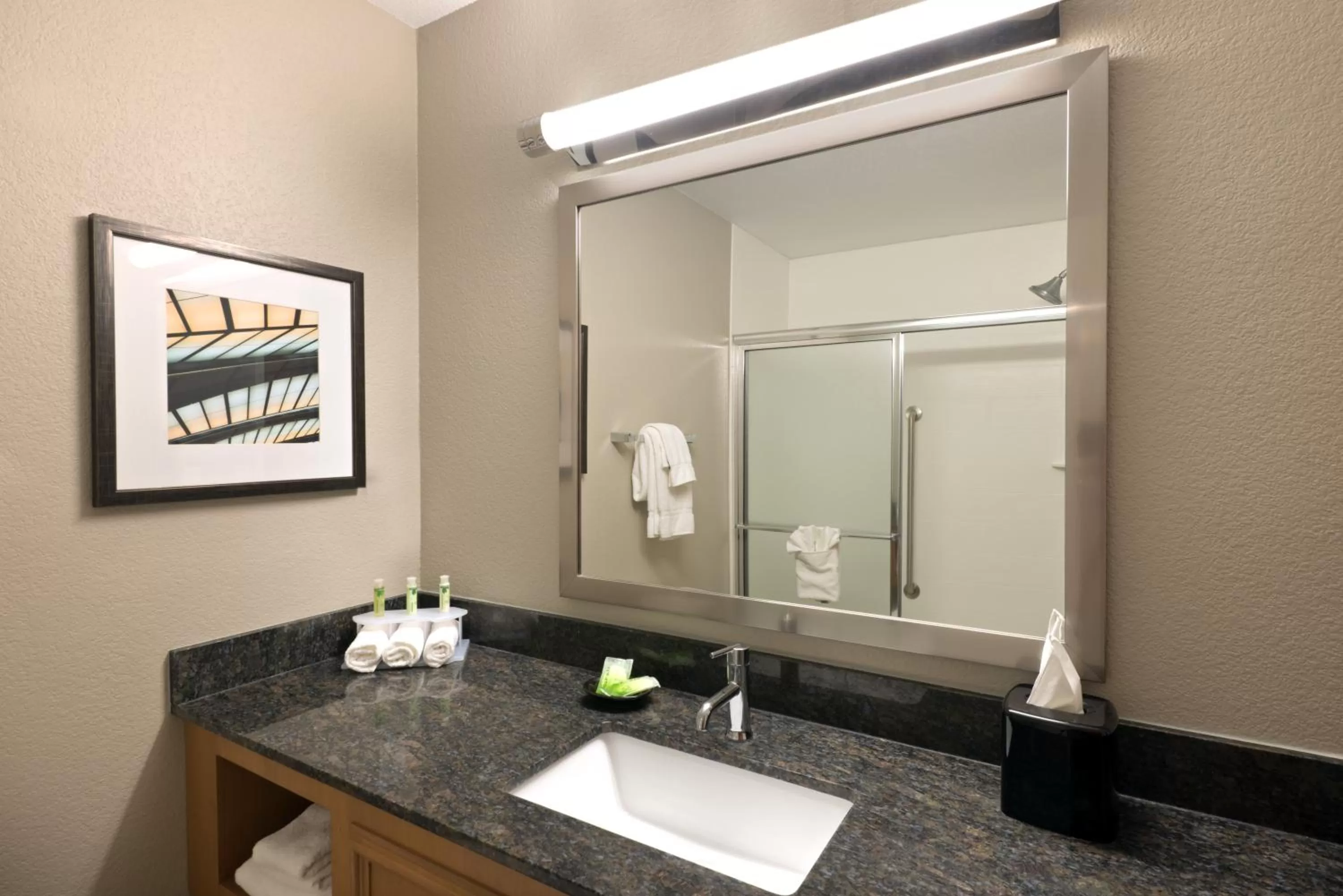 Bathroom in Holiday Inn Express Hotel & Suites Fraser Winter Park Area by IHG