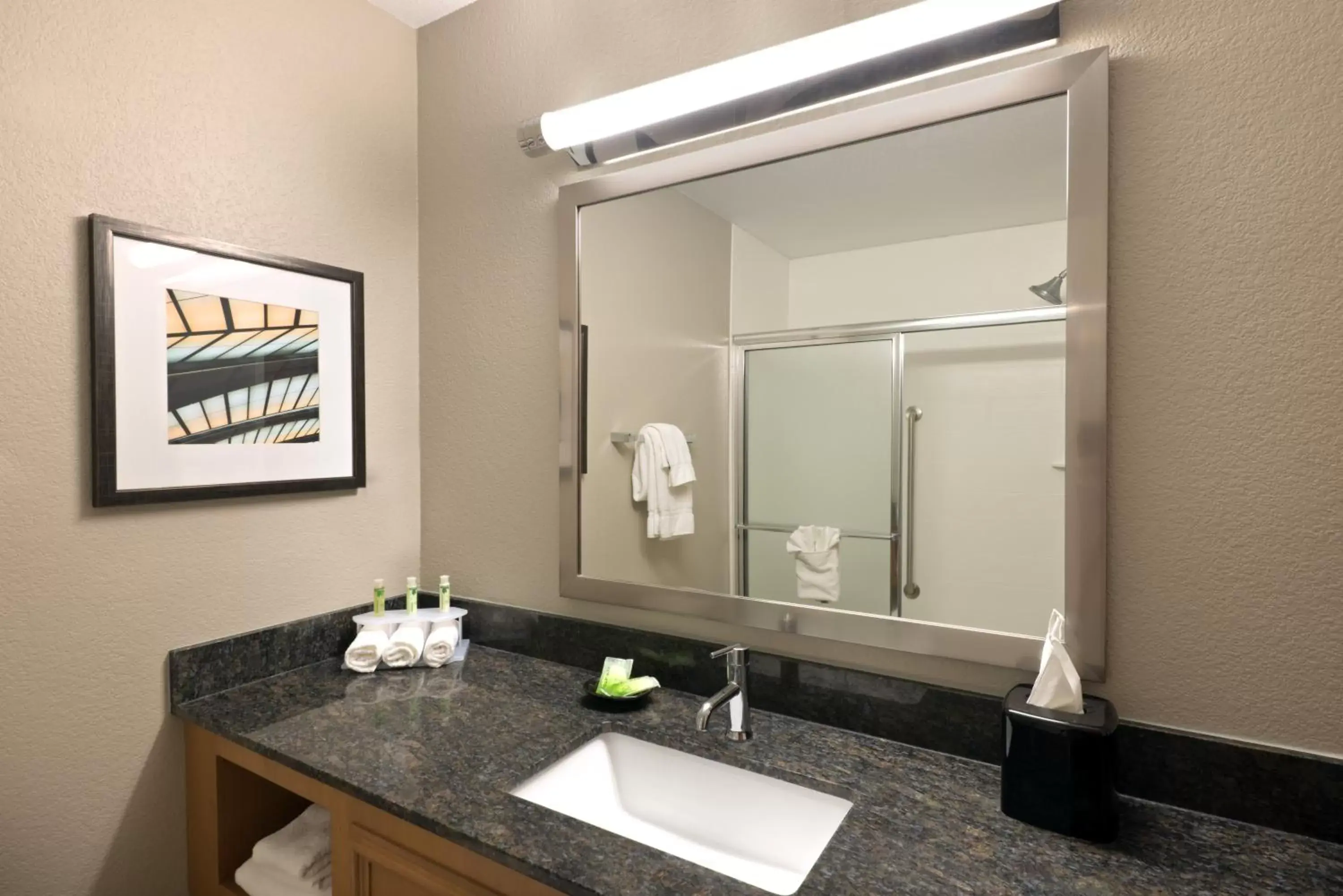 Bathroom in Holiday Inn Express Hotel & Suites Fraser Winter Park Area, an IHG Hotel